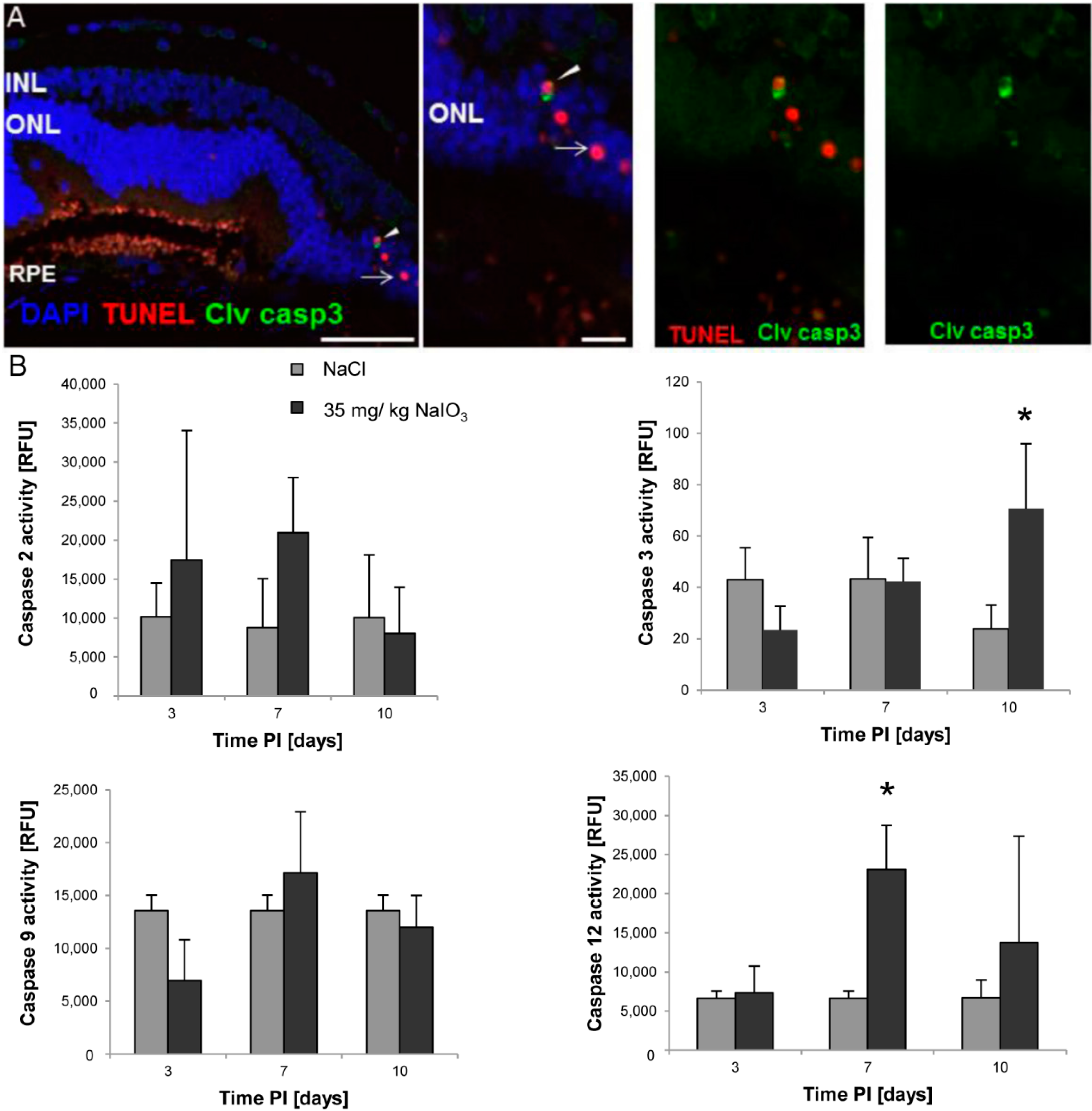 Ijms 16 15086 g003 1024