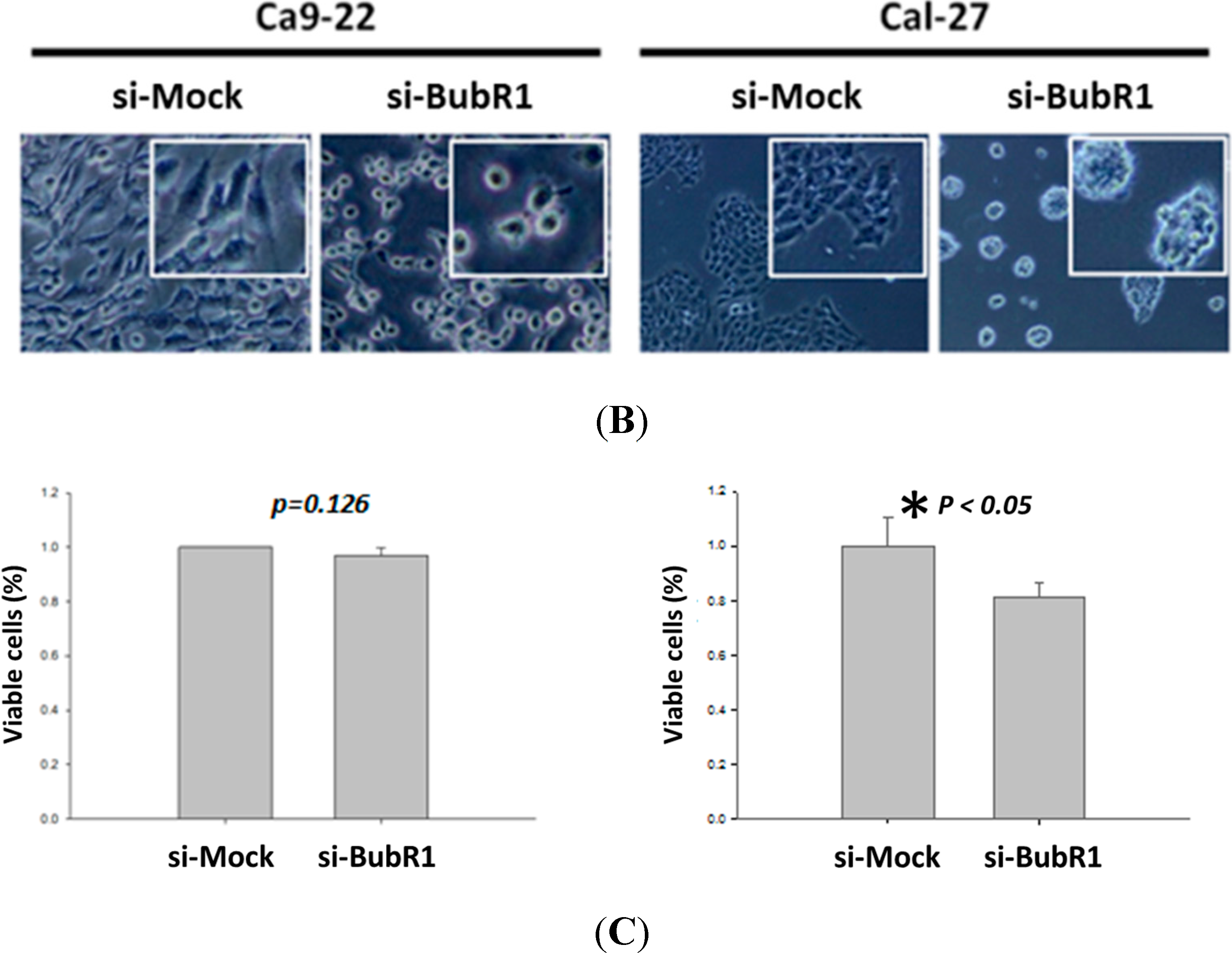 Ijms 16 15104 g003b 1024