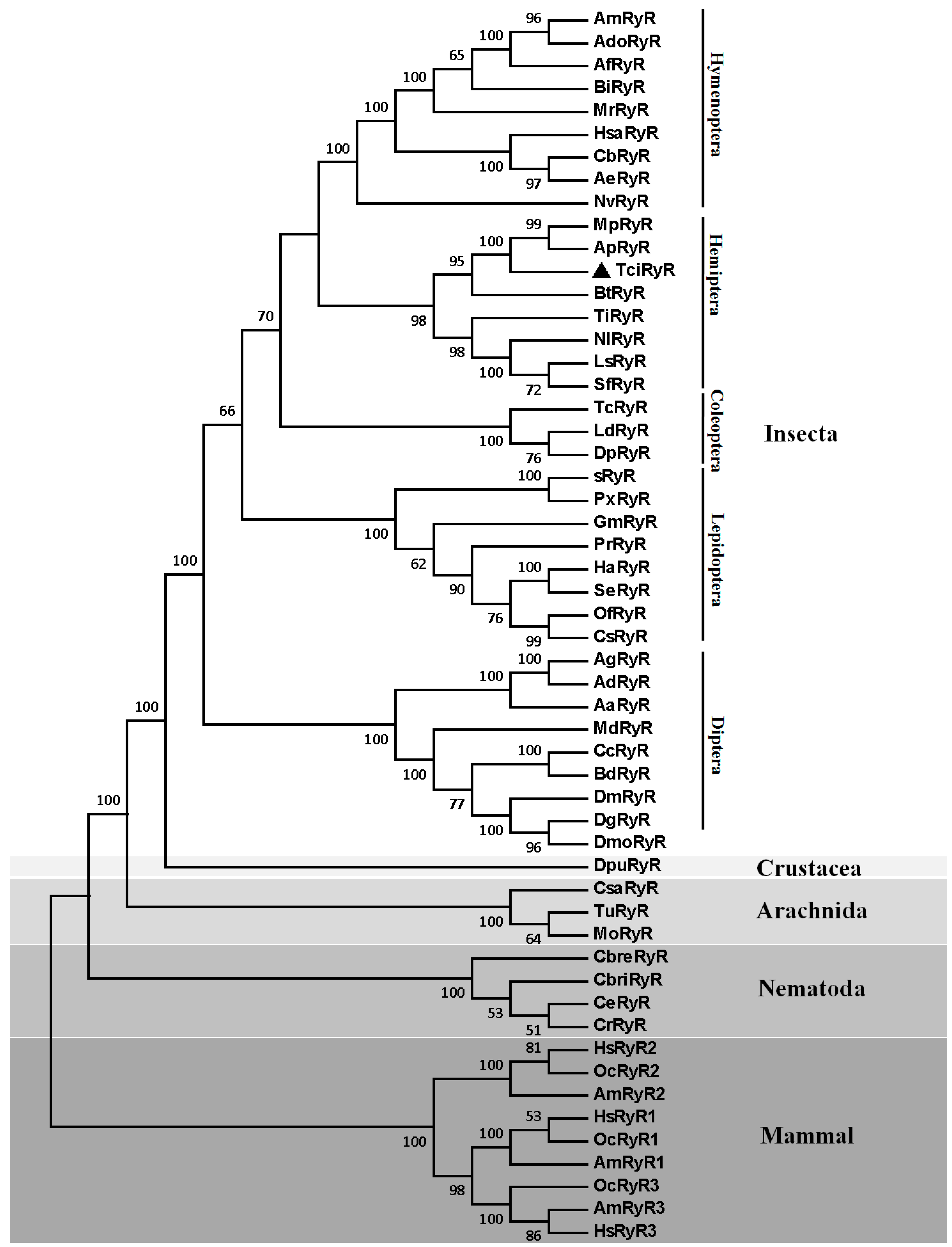 Ijms 16 15220 g002 1024