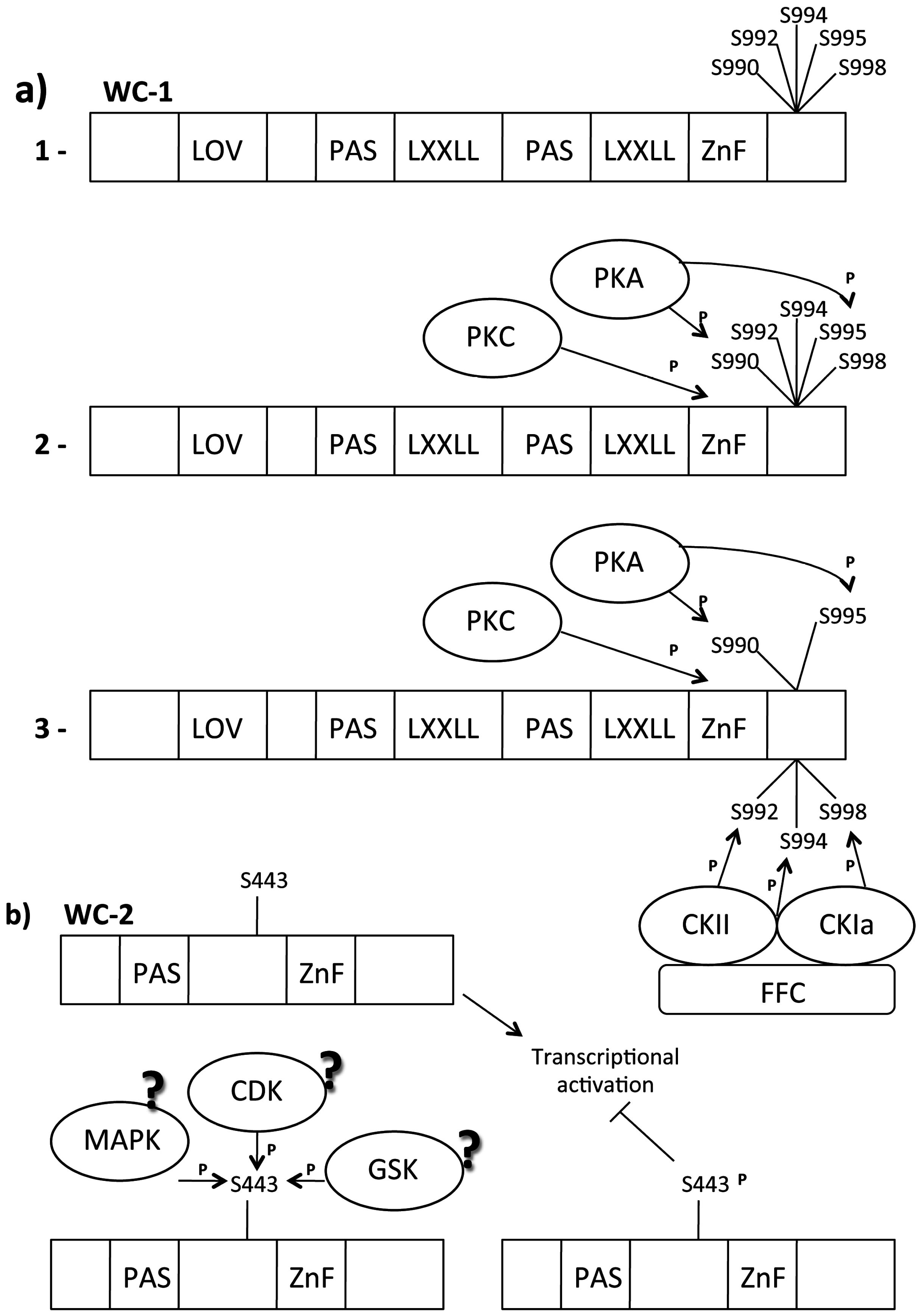 Ijms 16 15347 g003 1024