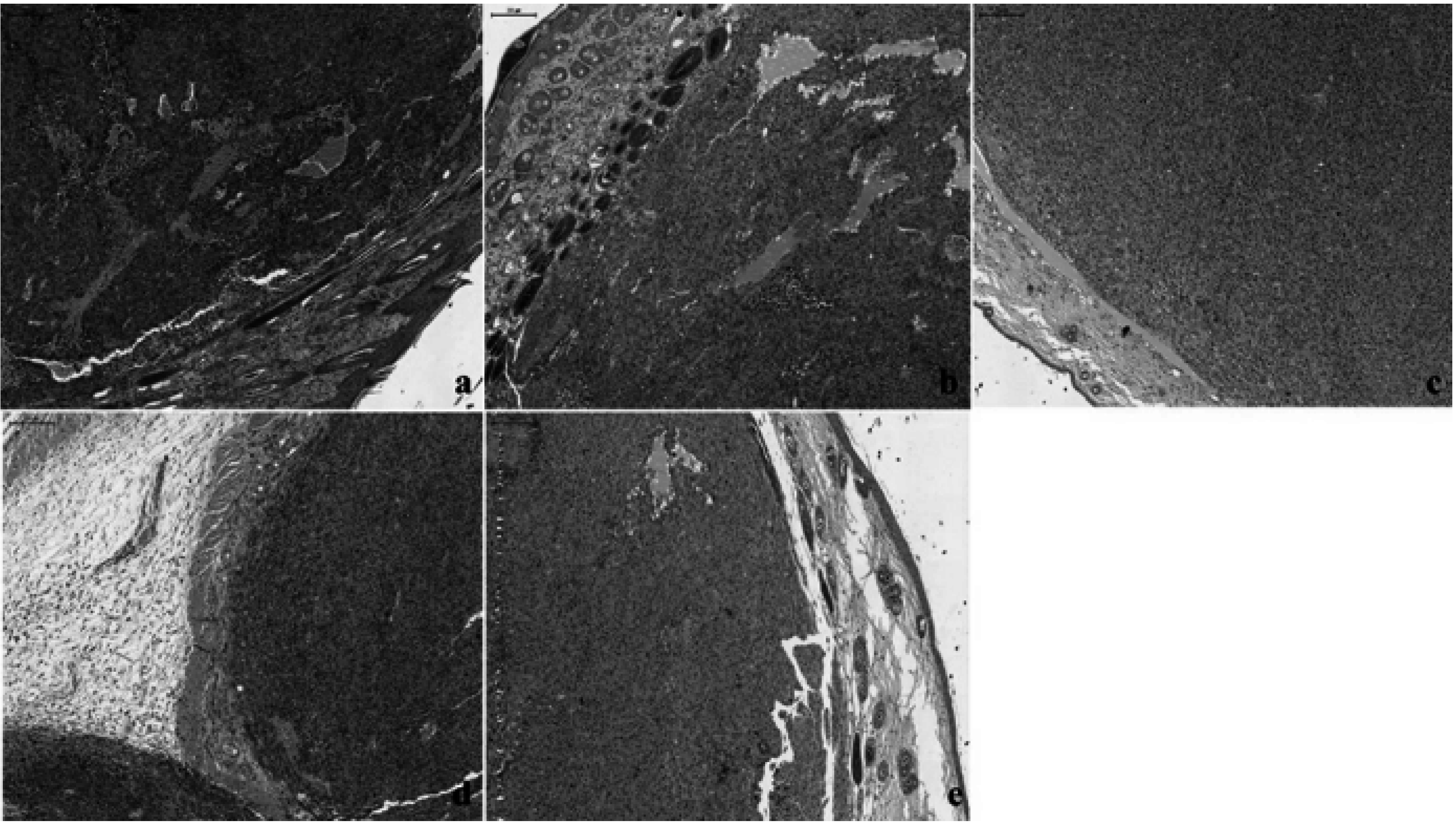 Ijms 16 15425 g008 1024