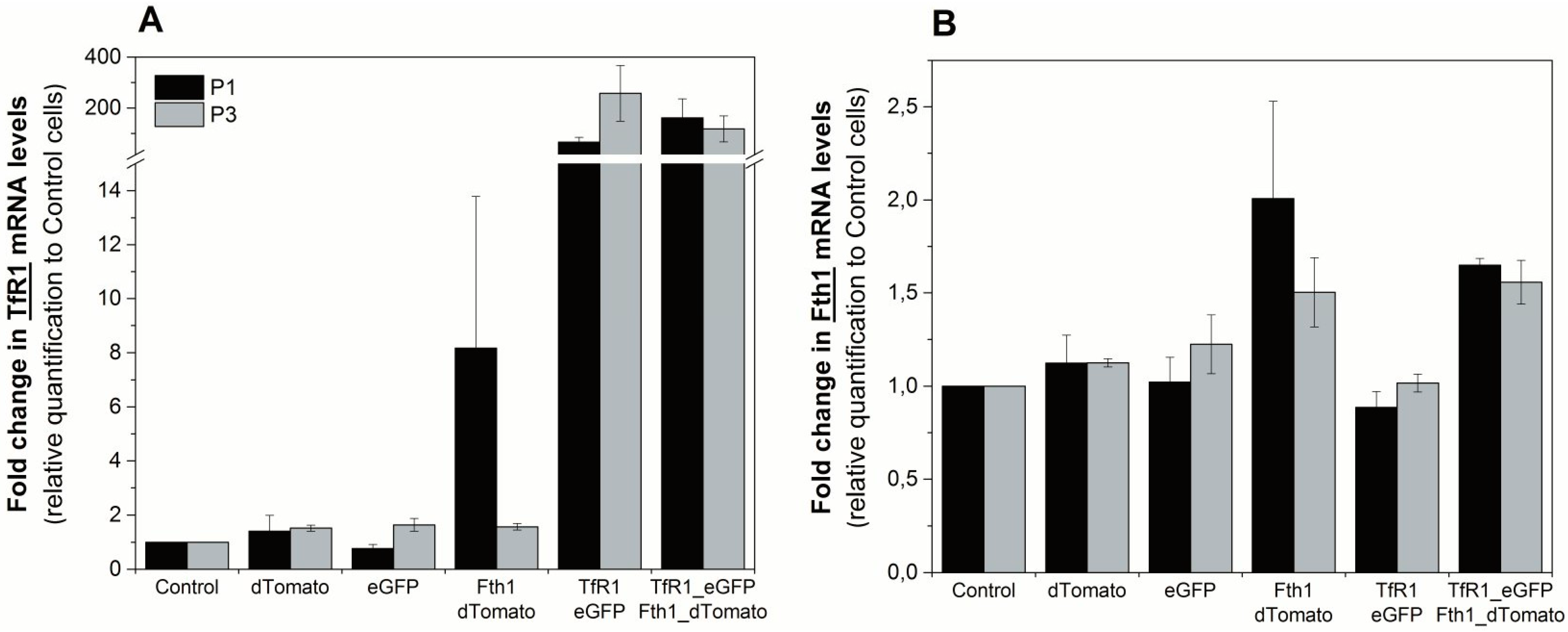 Ijms 16 15481 g003 1024