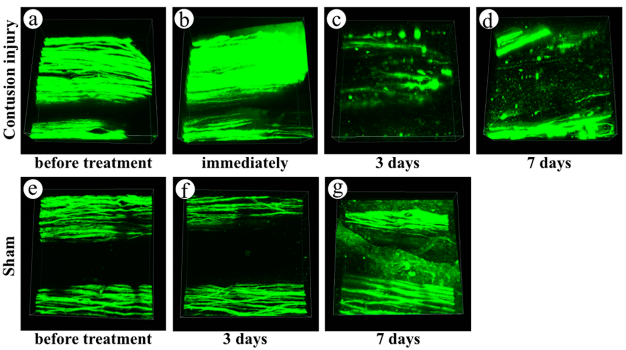Ijms 16 15785 g003 1024