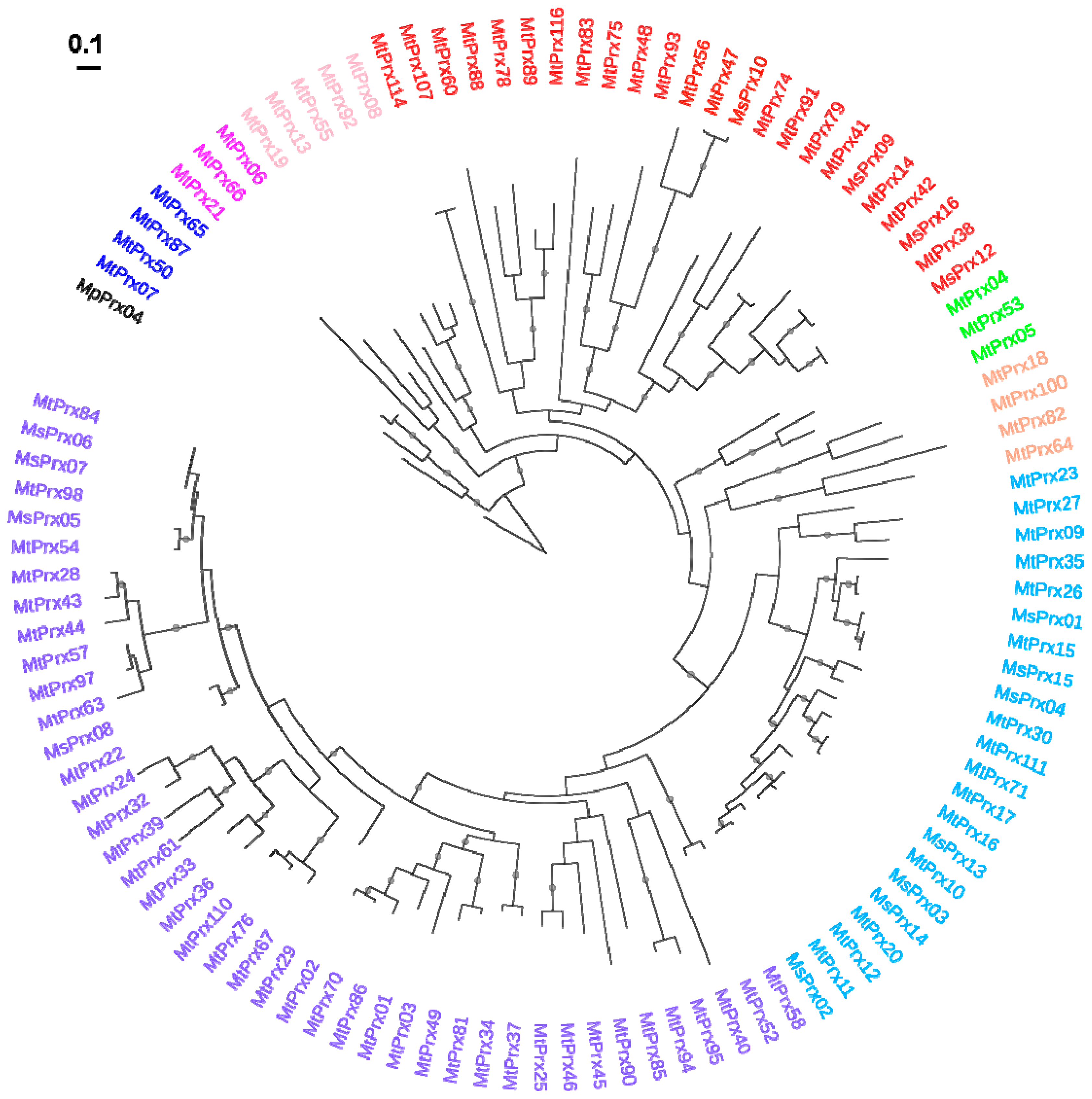 Ijms 16 16104 g003 1024