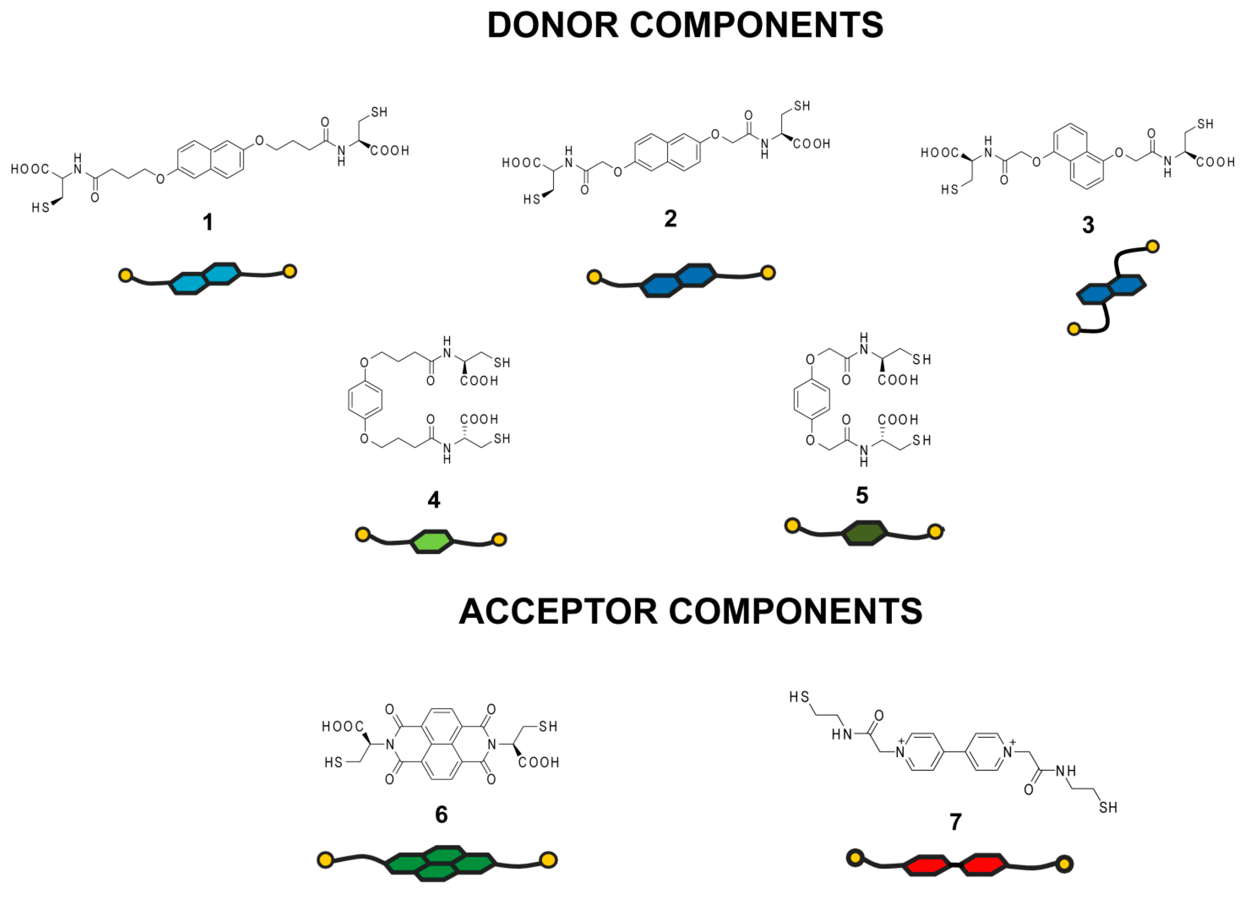 Ijms 16 16300 g001 1024