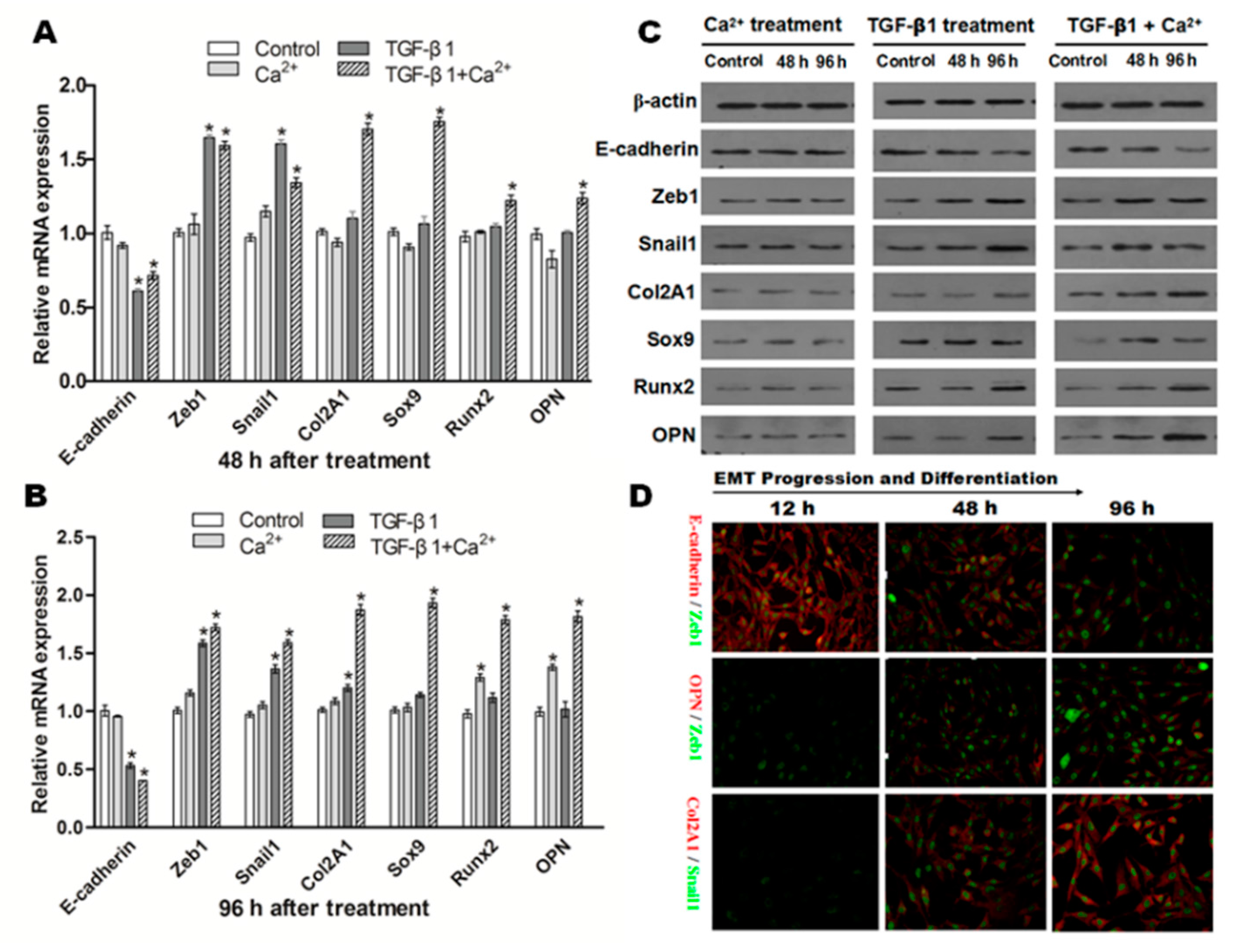 Ijms 16 16313 g008 1024