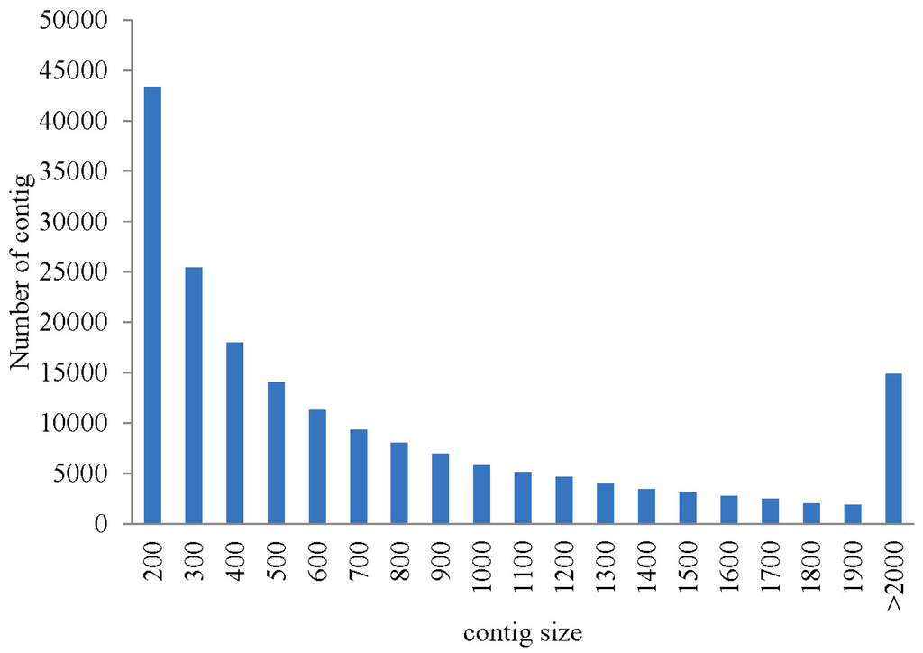 Transcriptome Analysis and Discovery of Genes Involved in