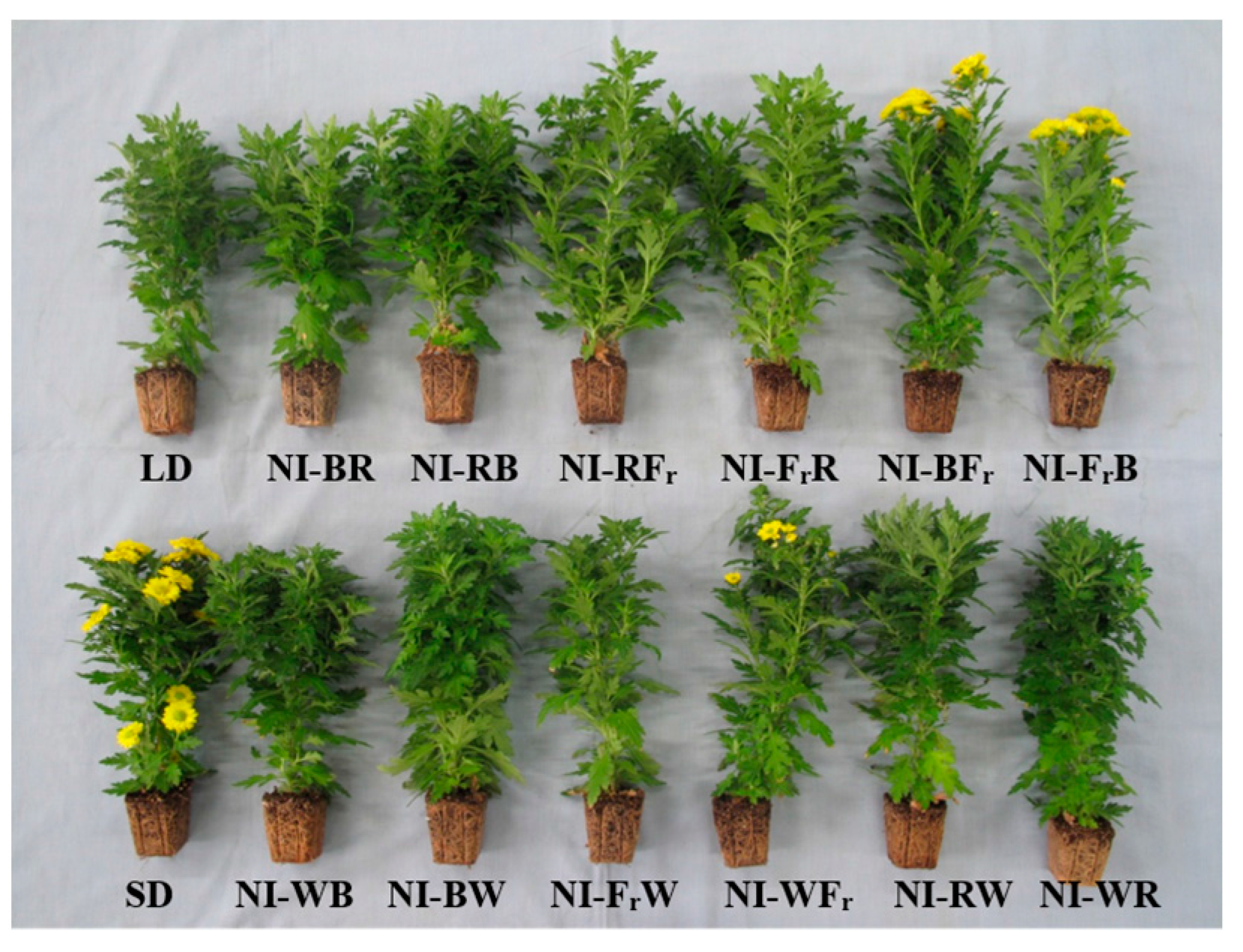 Ijms 16 16497 g002a 1024