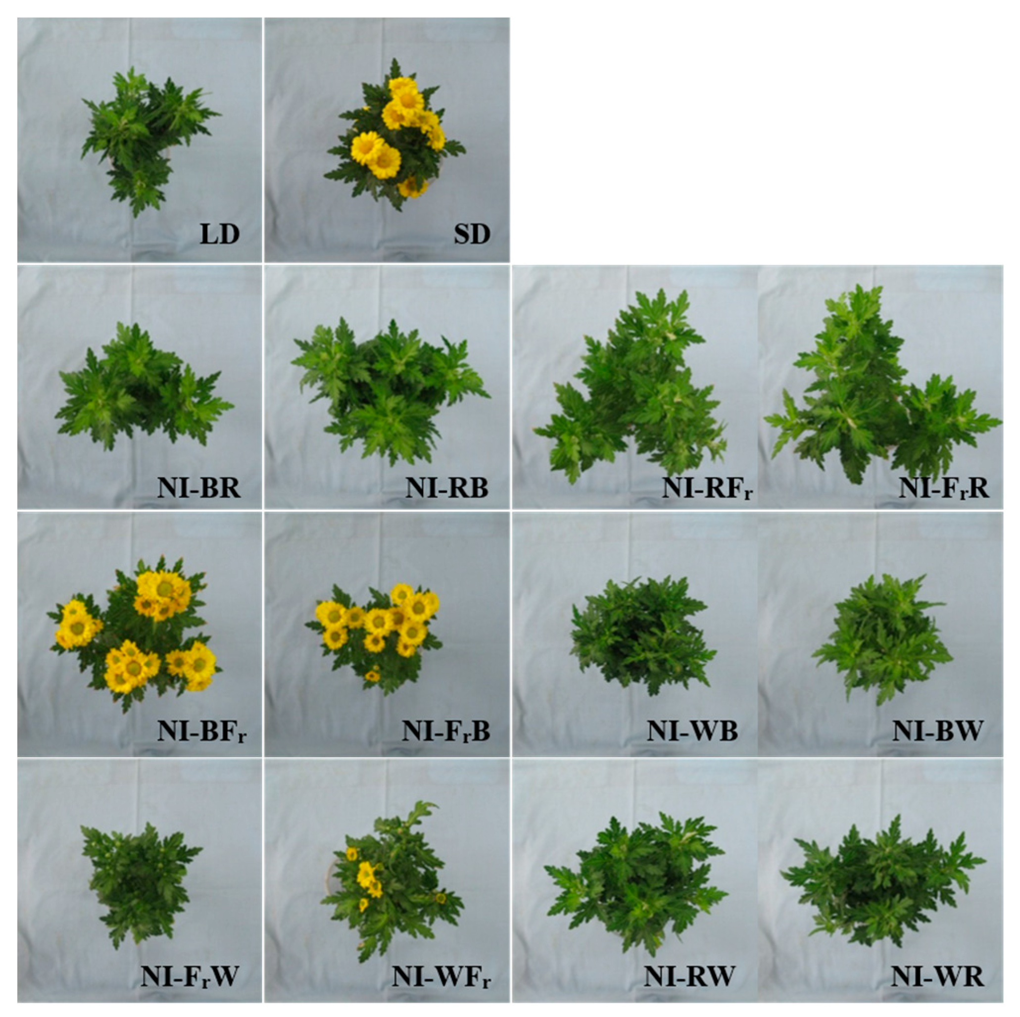 Ijms 16 16497 g002b 1024