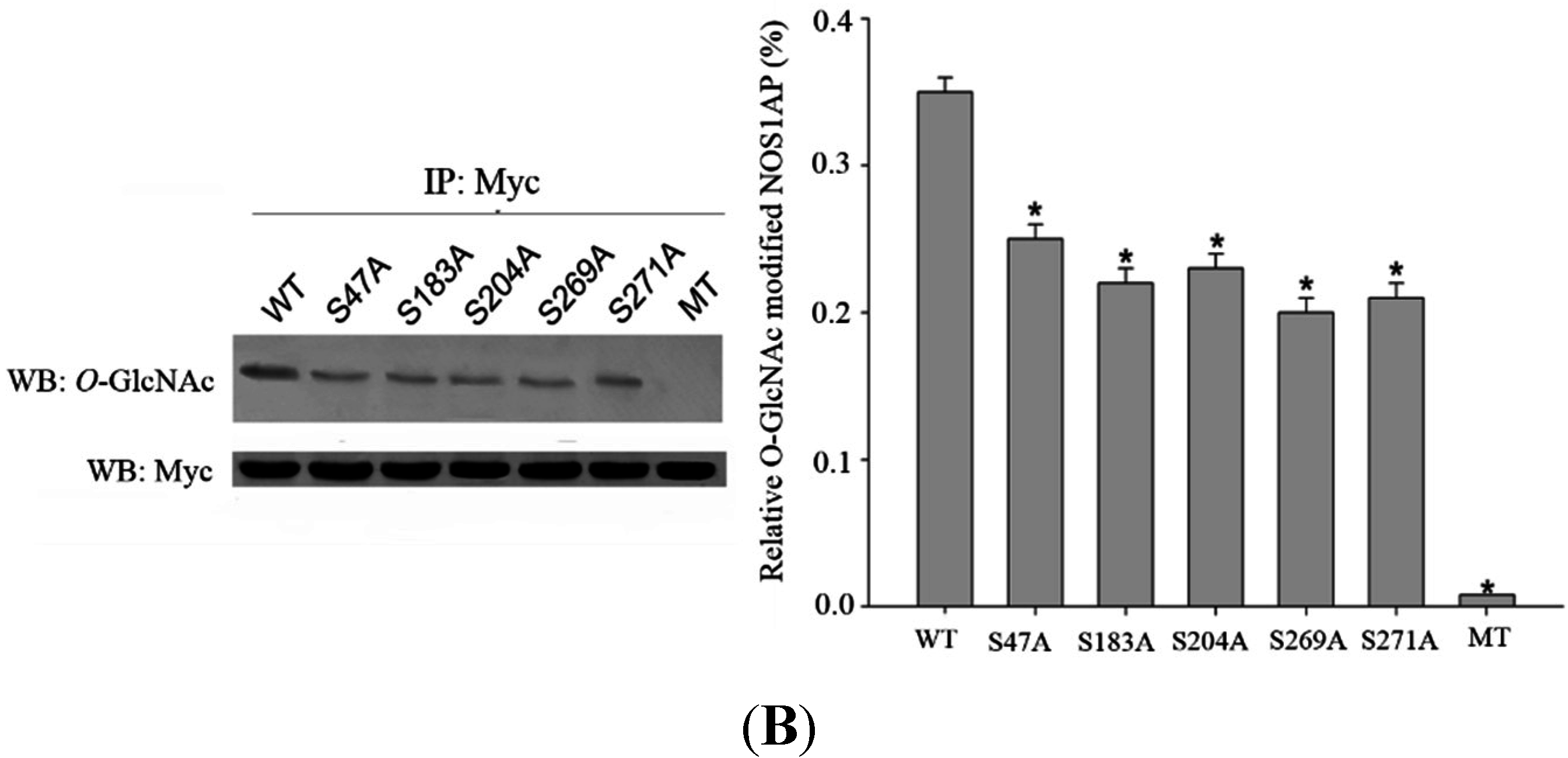 Ijms 16 16560 g003c 1024