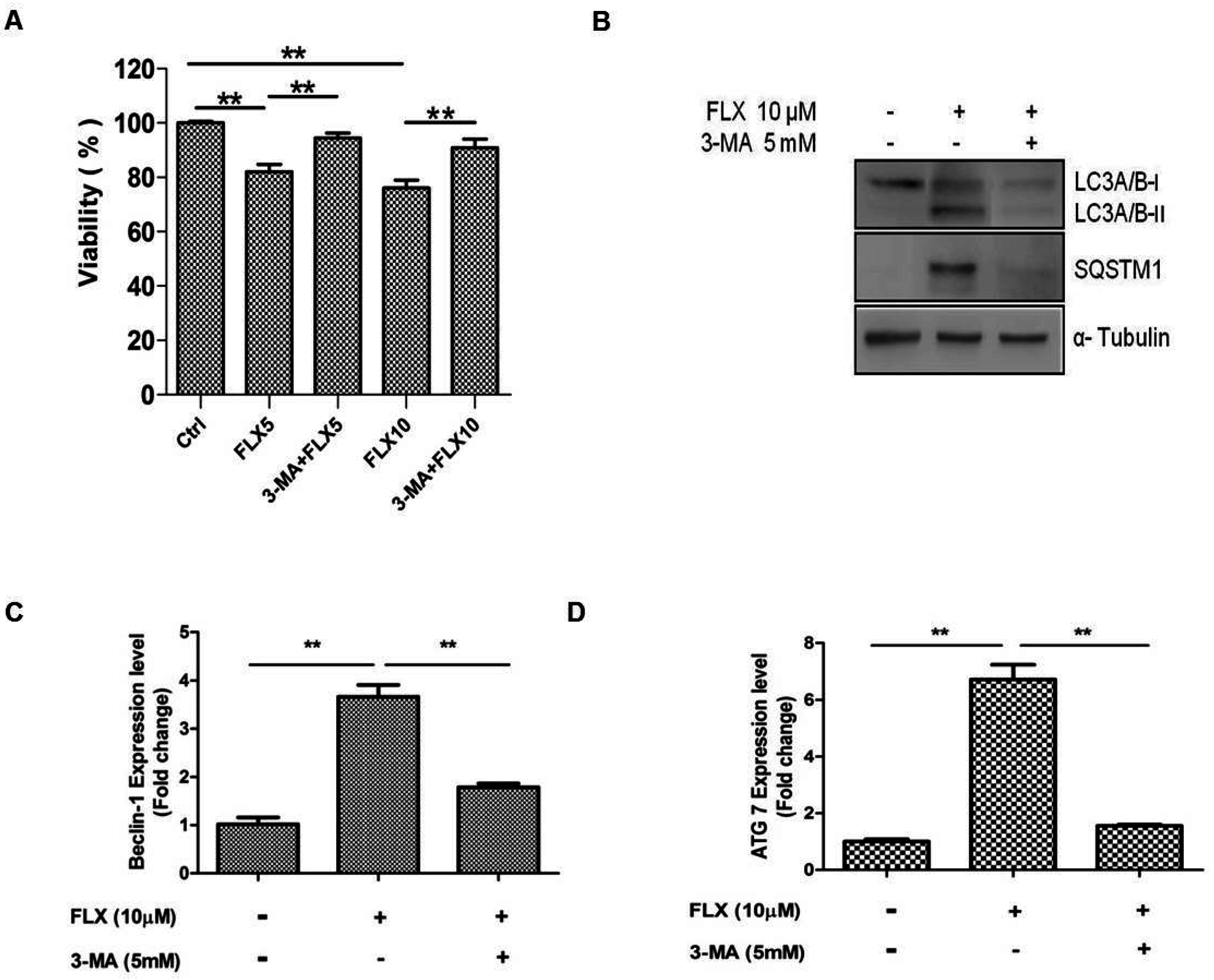 Ijms 16 16655 g004 1024