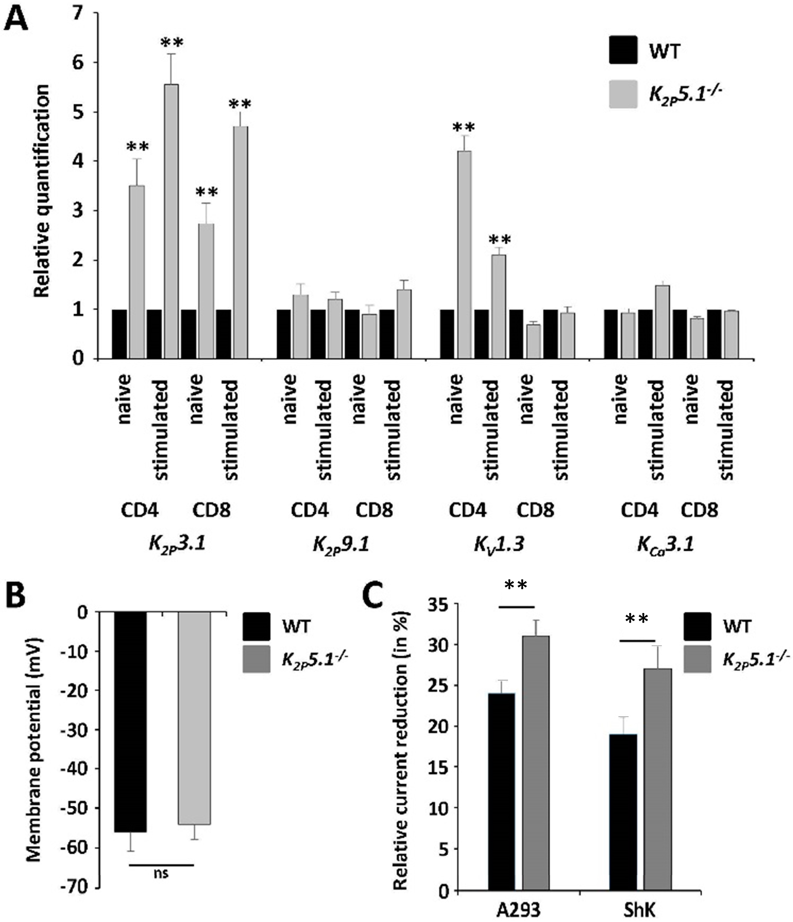 Ijms 16 16880 g003a 1024