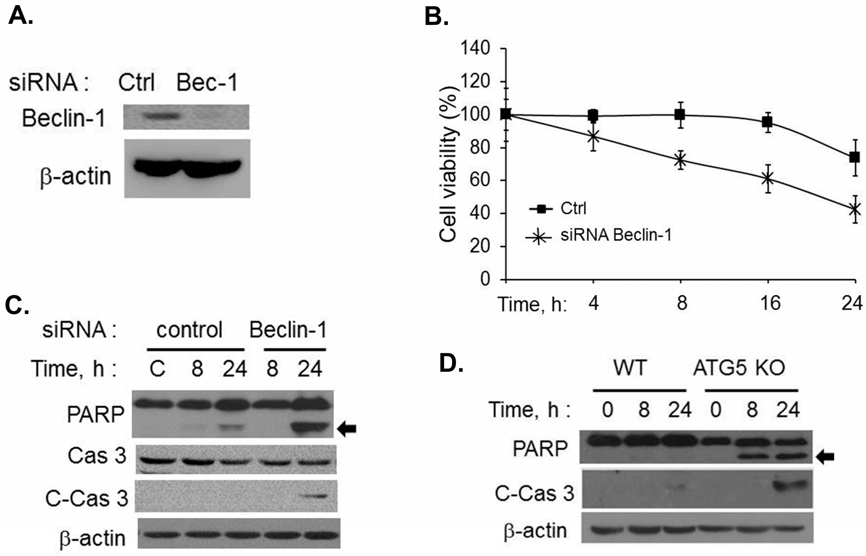 Ijms 16 17611 g004 1024