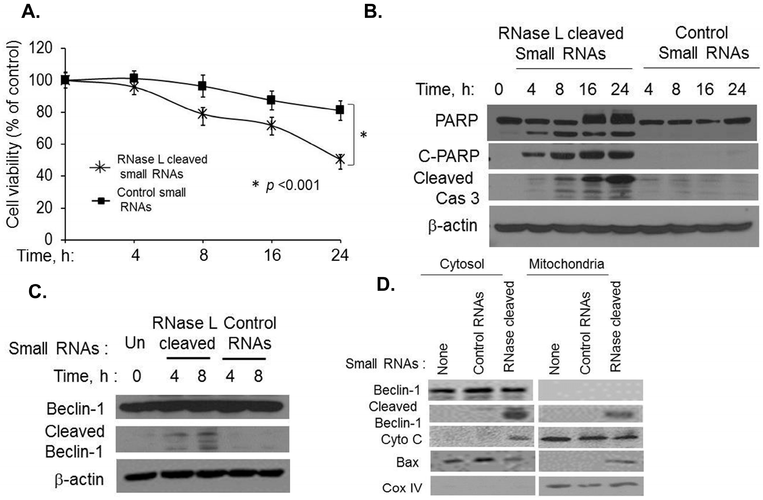 Ijms 16 17611 g007 1024