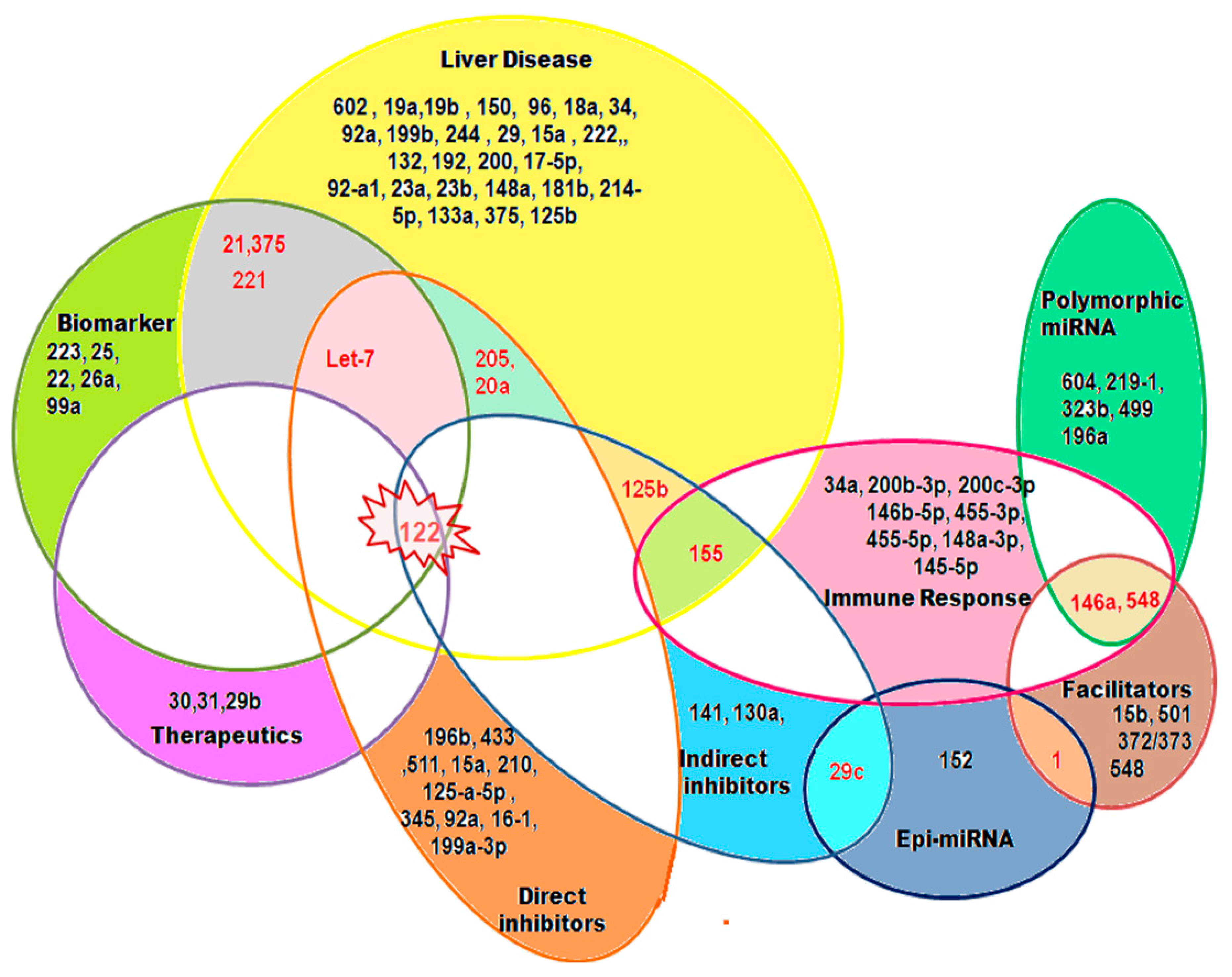 IJMS | Free Full-Text | Hepatitis B Virus Infection, MicroRNAs and 
