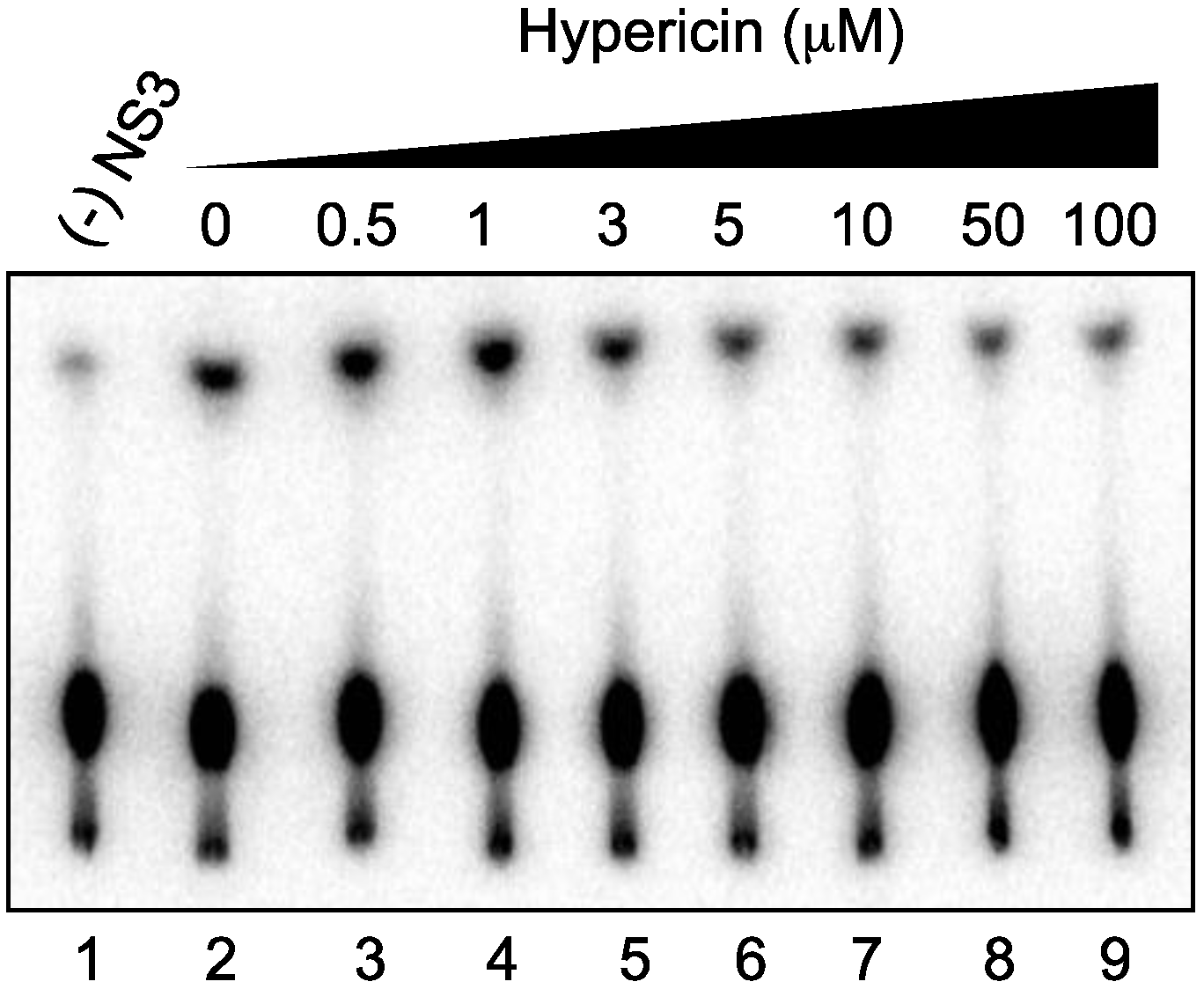 Ijms 16 18439 g003 1024