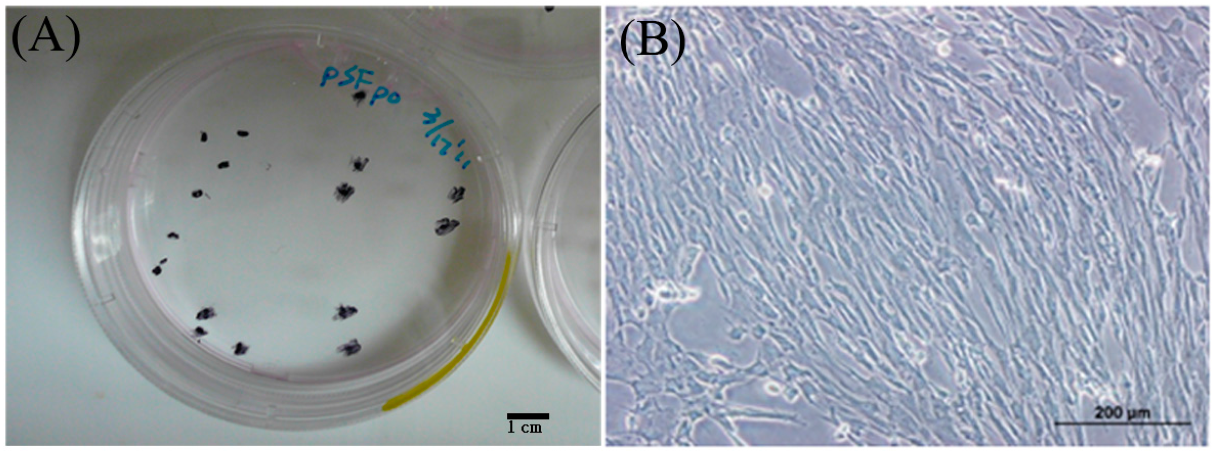 Ijms 16 18507 g001 1024