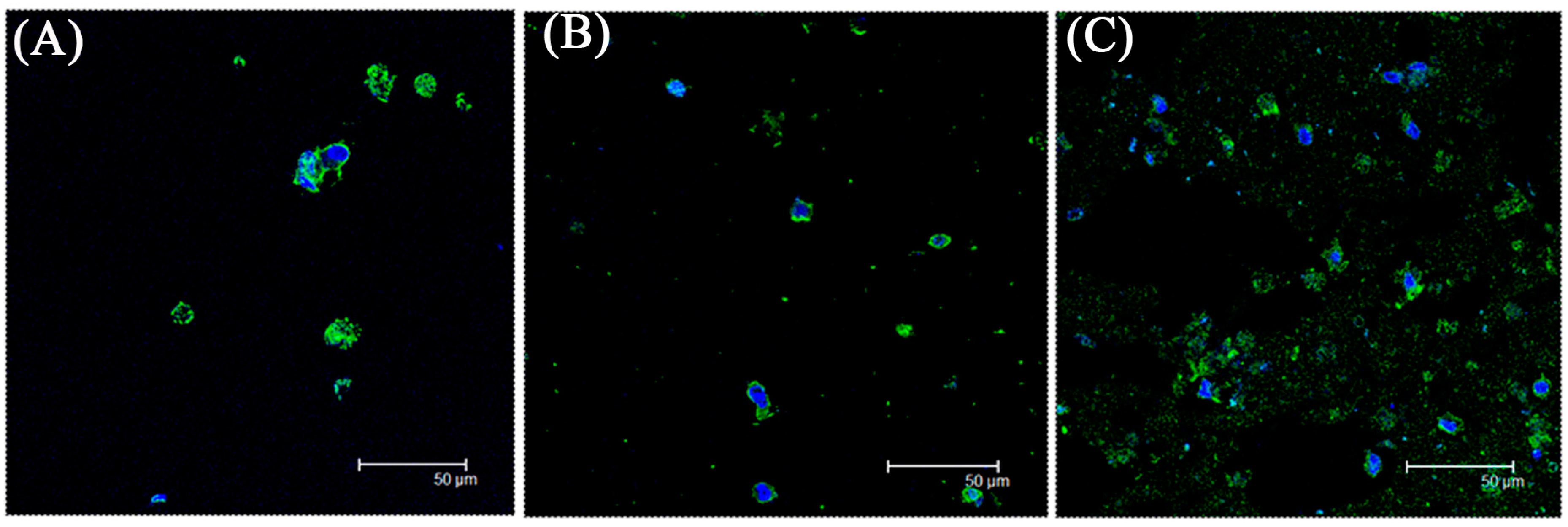 Ijms 16 18507 g006 1024