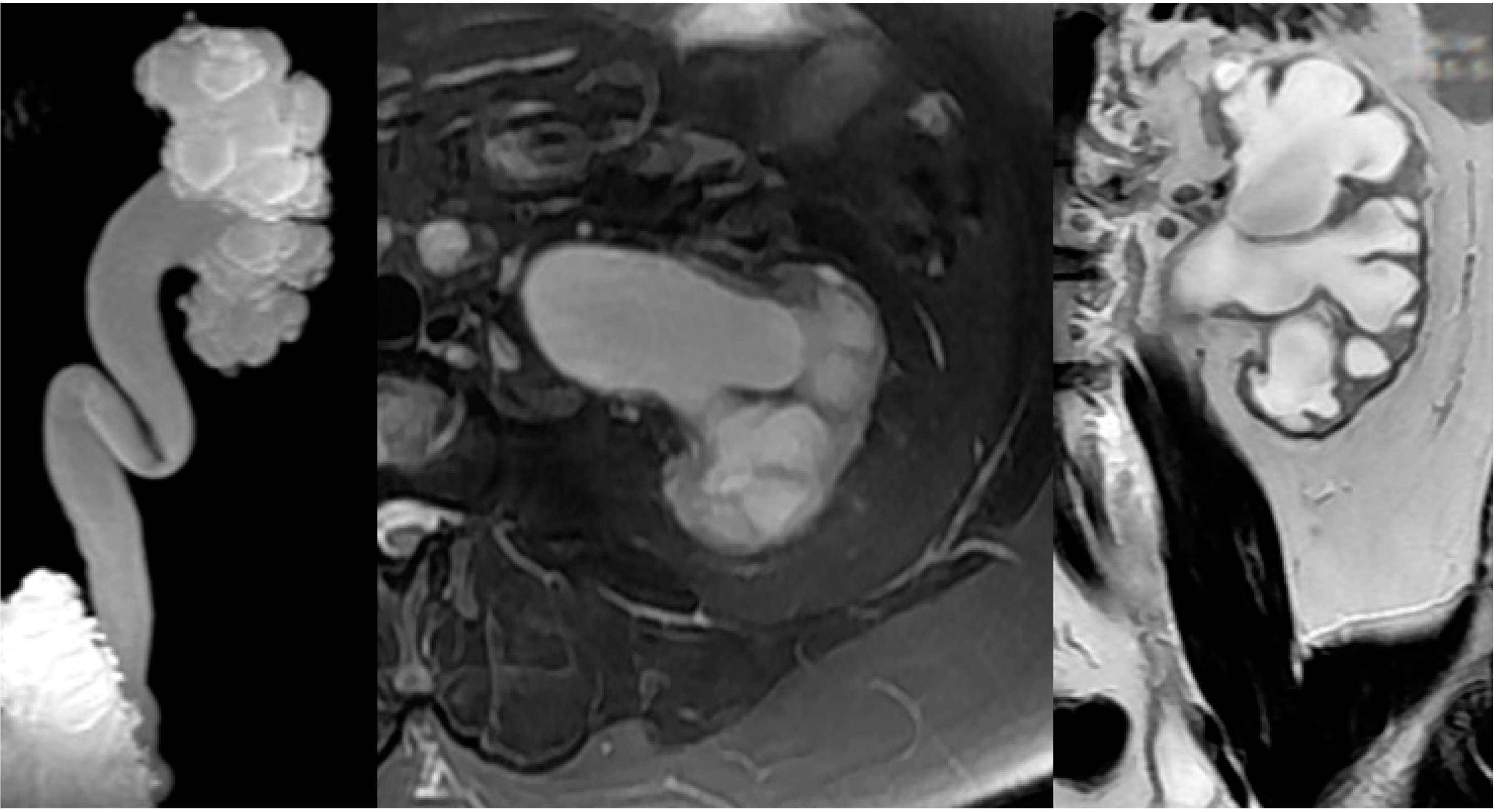 Ijms 16 18580 g006 1024