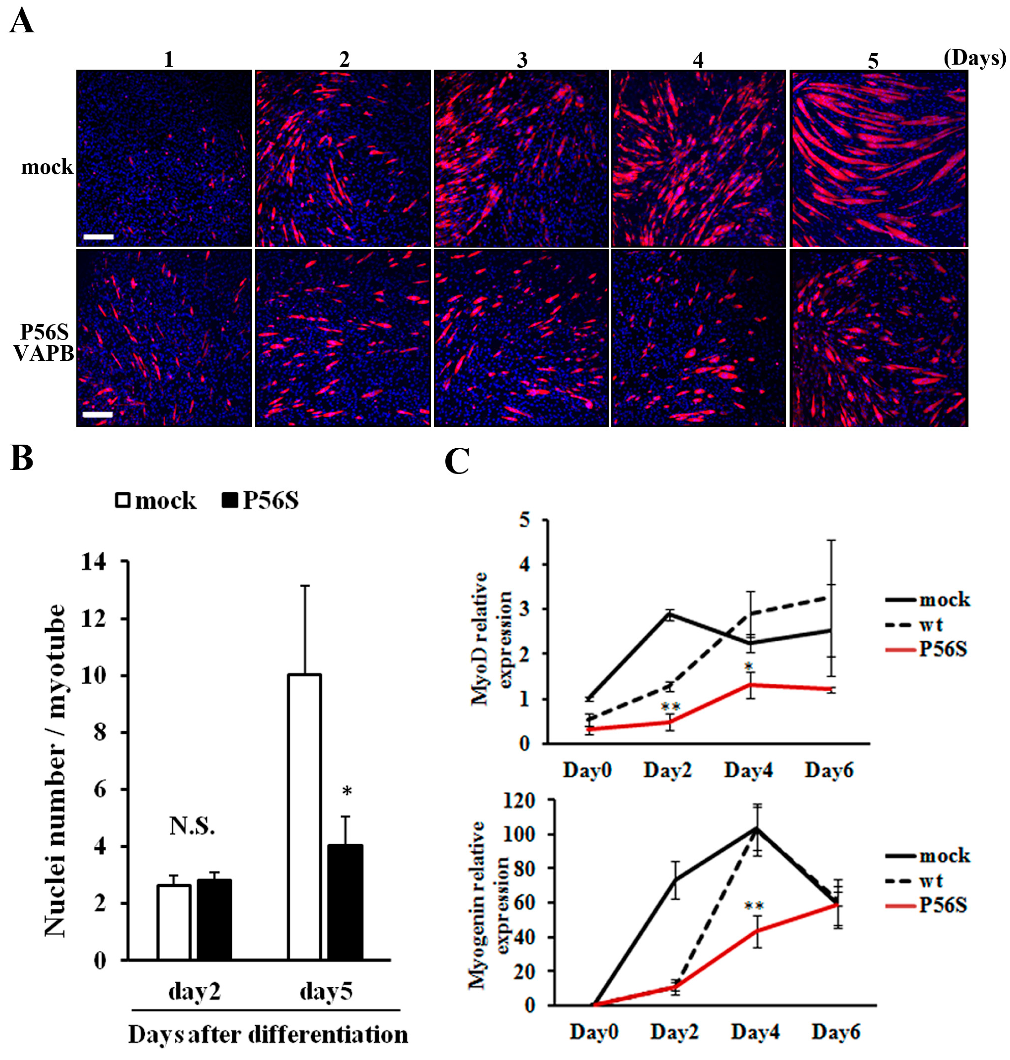 Ijms 16 18628 g003 1024