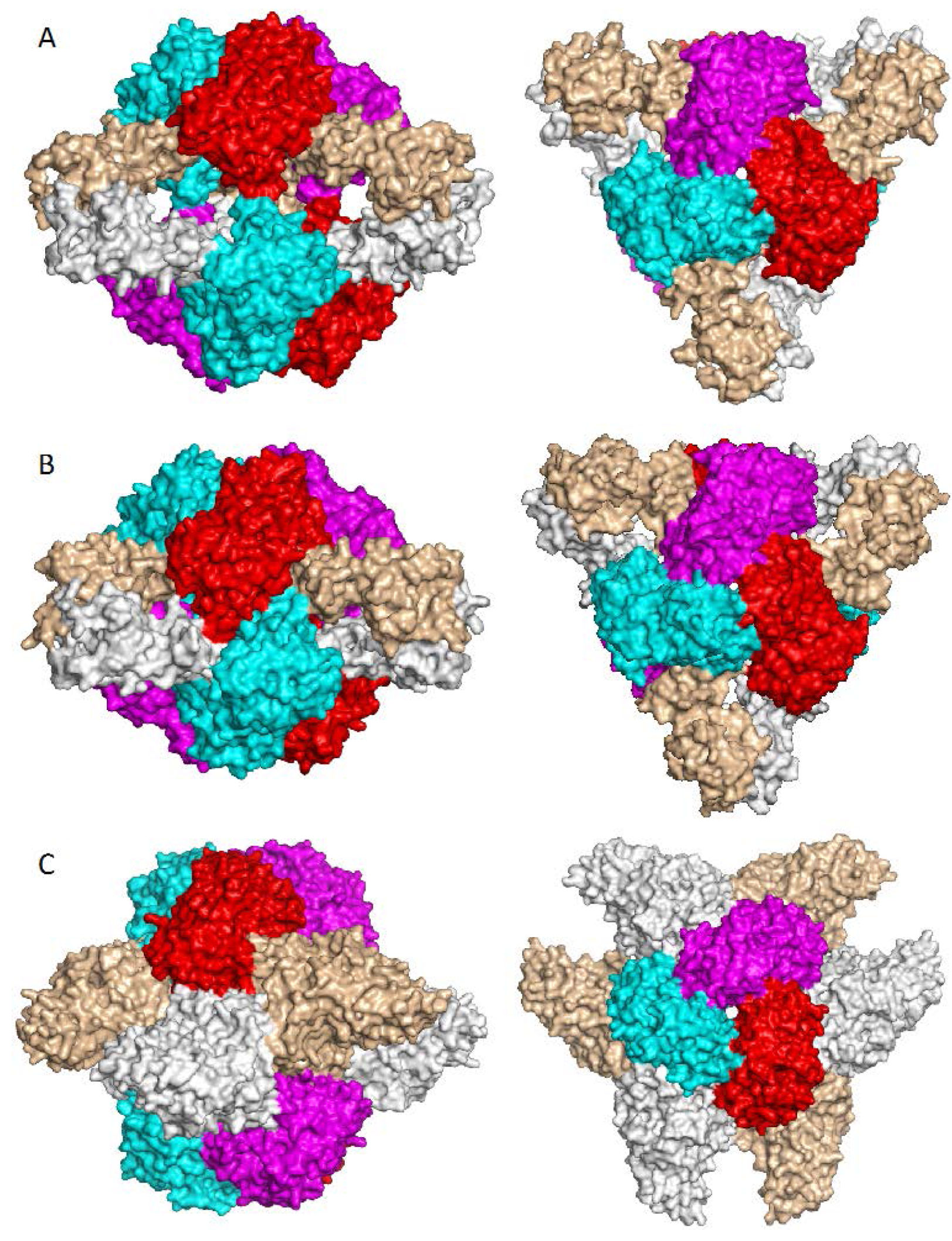 Ijms 16 18836 g008