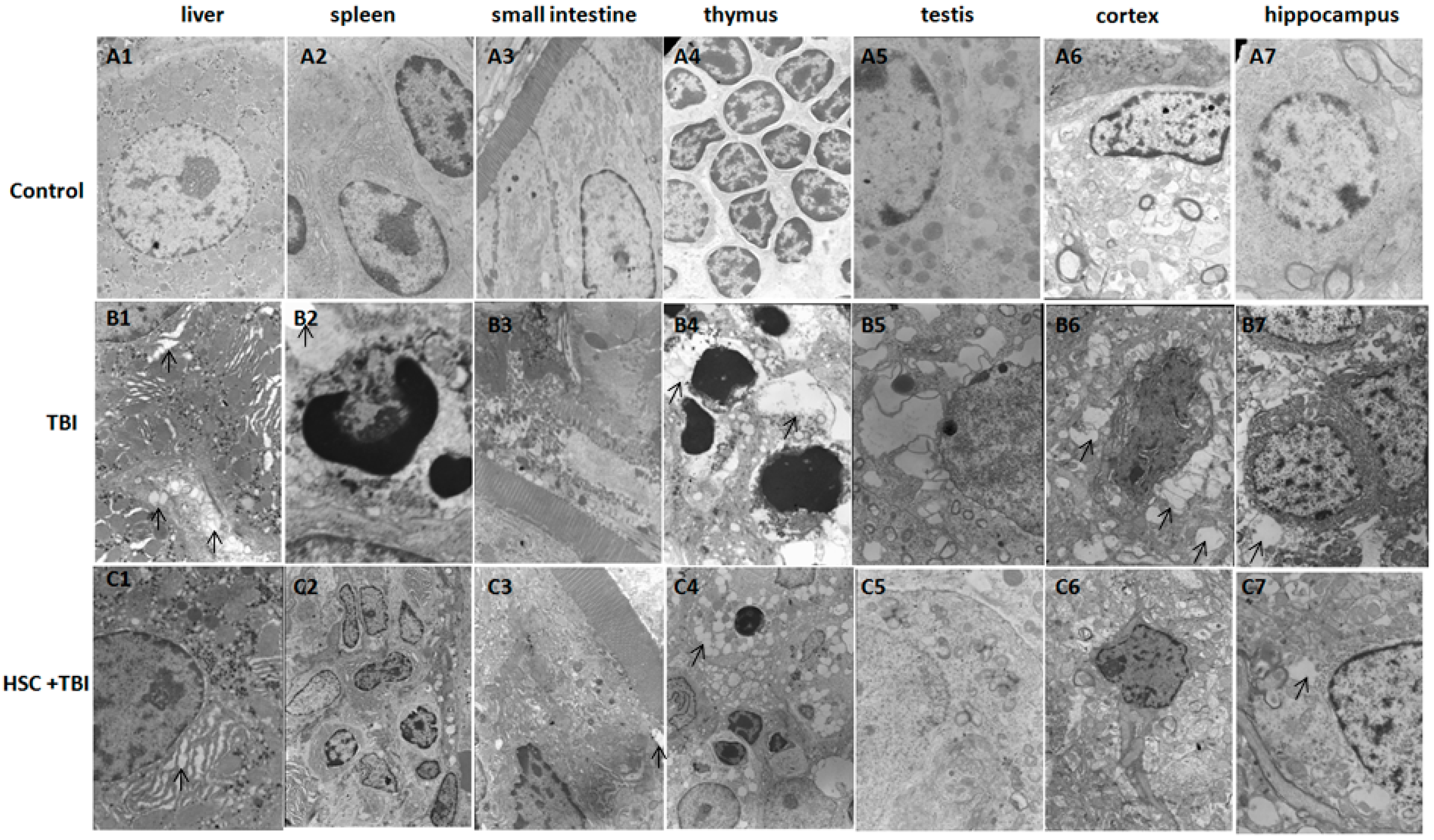 Ijms 16 18938 g002 1024