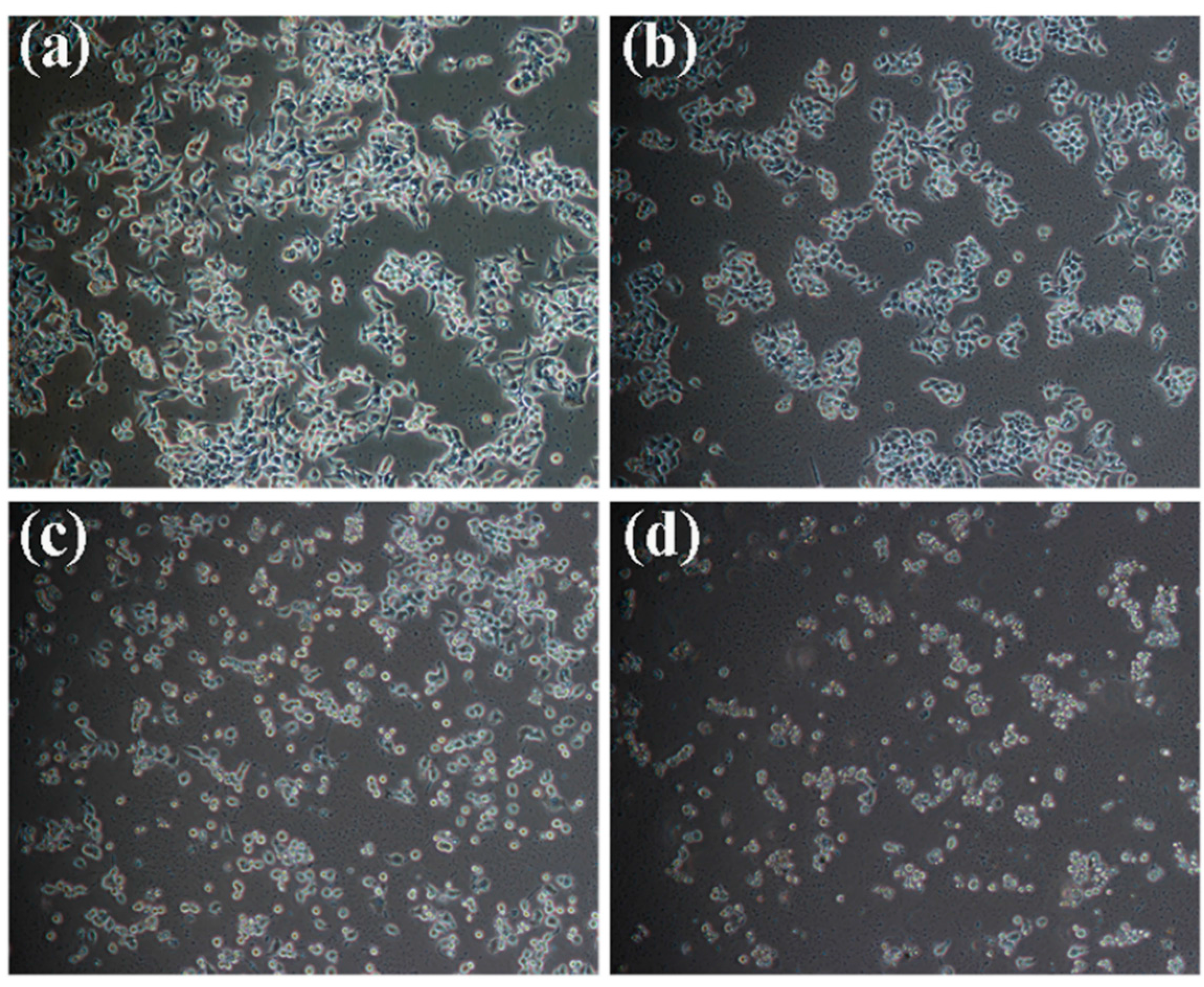 Ijms 16 18956 g002 1024