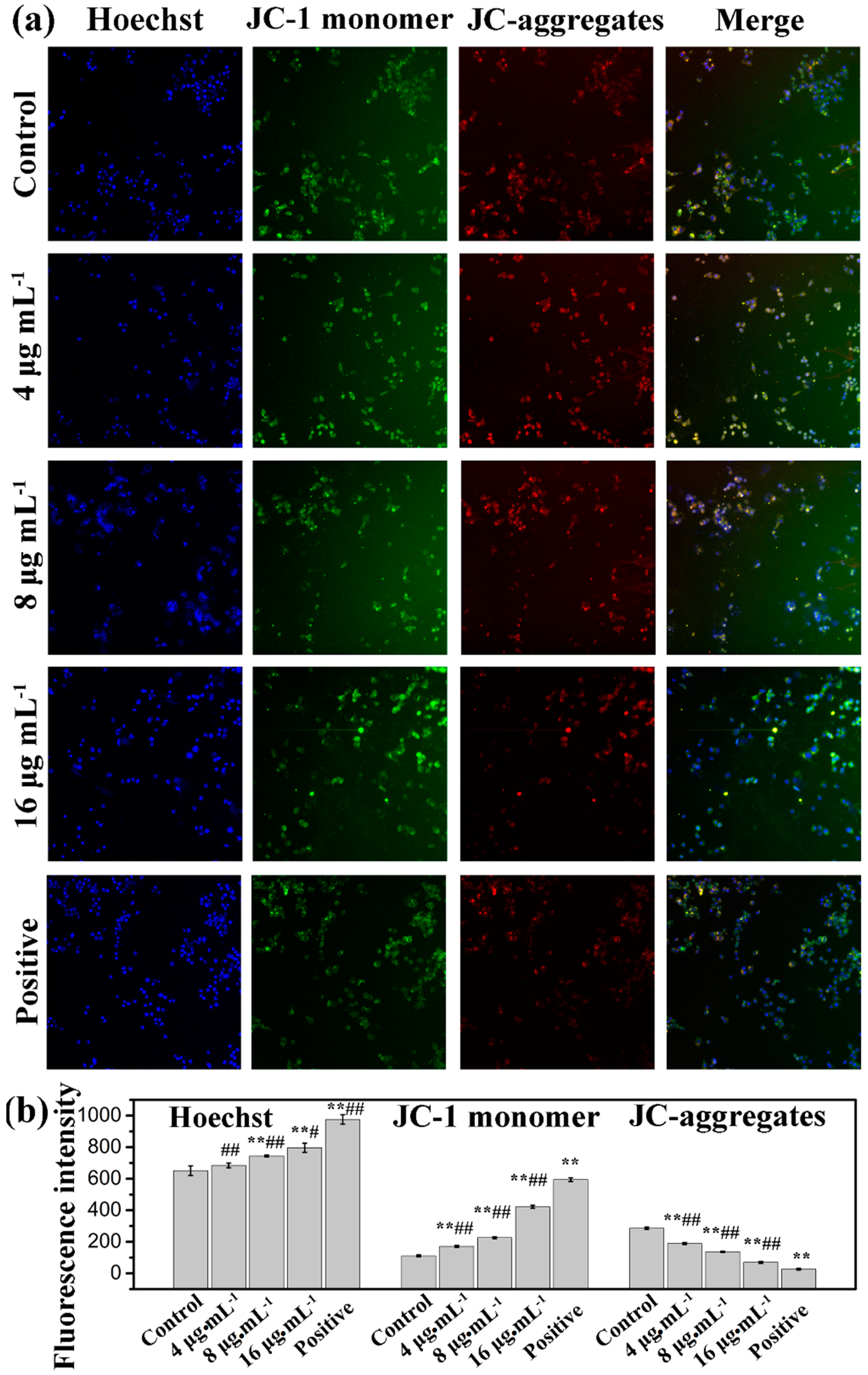 Ijms 16 18956 g008 1024