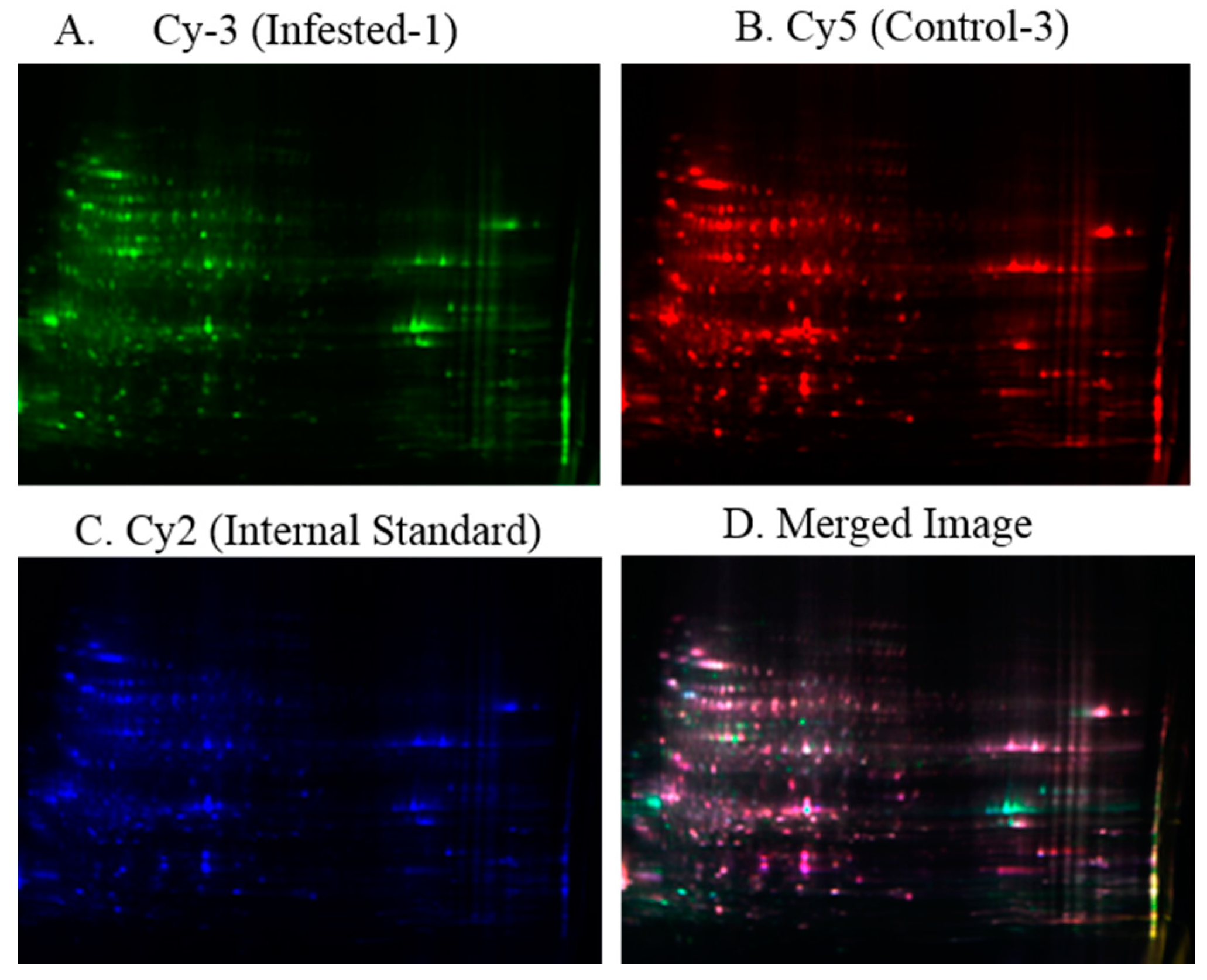 Ijms 16 19326 g002 1024