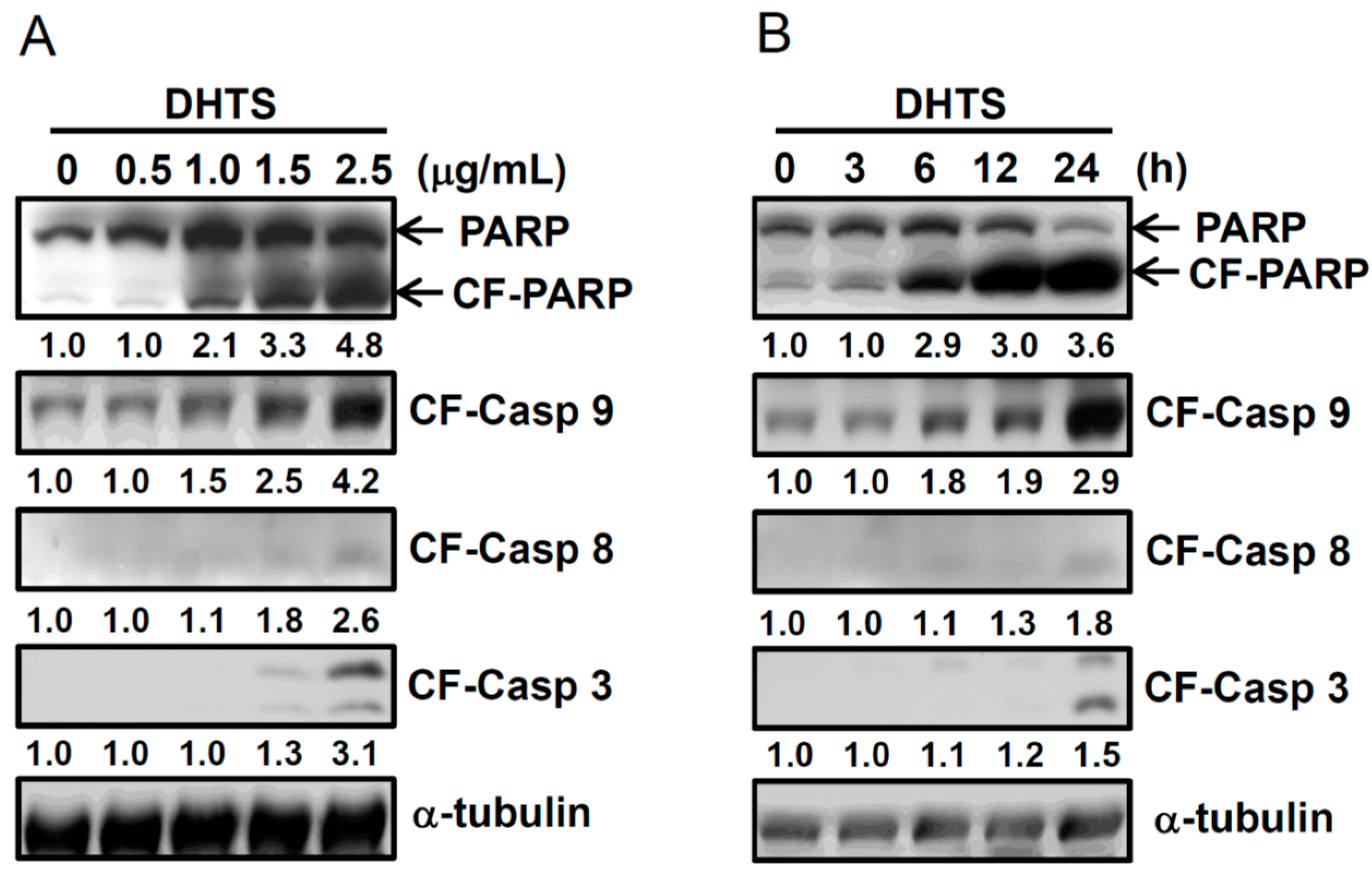 Ijms 16 19387 g002 1024