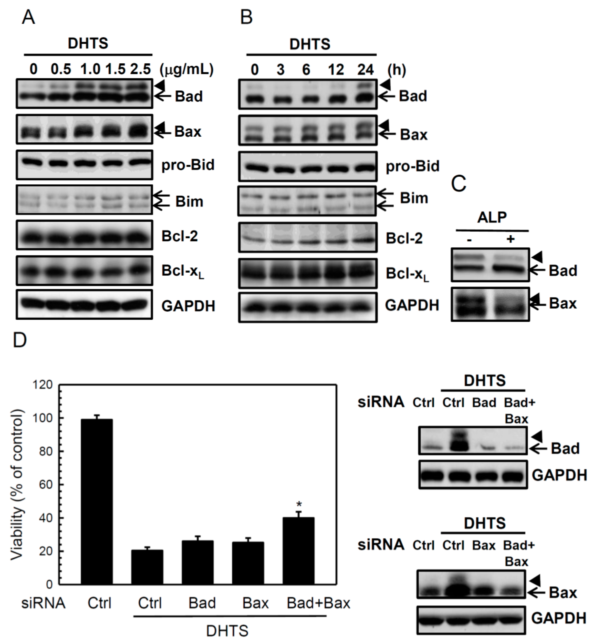 Ijms 16 19387 g003 1024