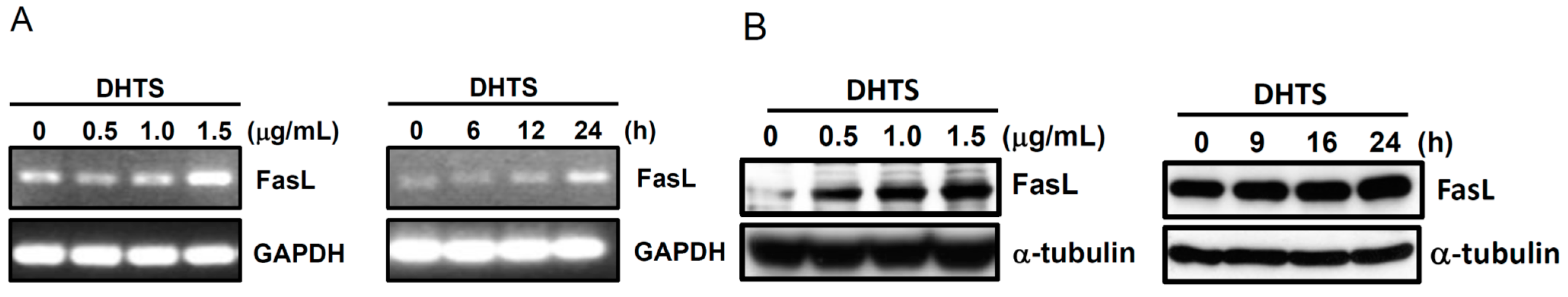 Ijms 16 19387 g004 1024
