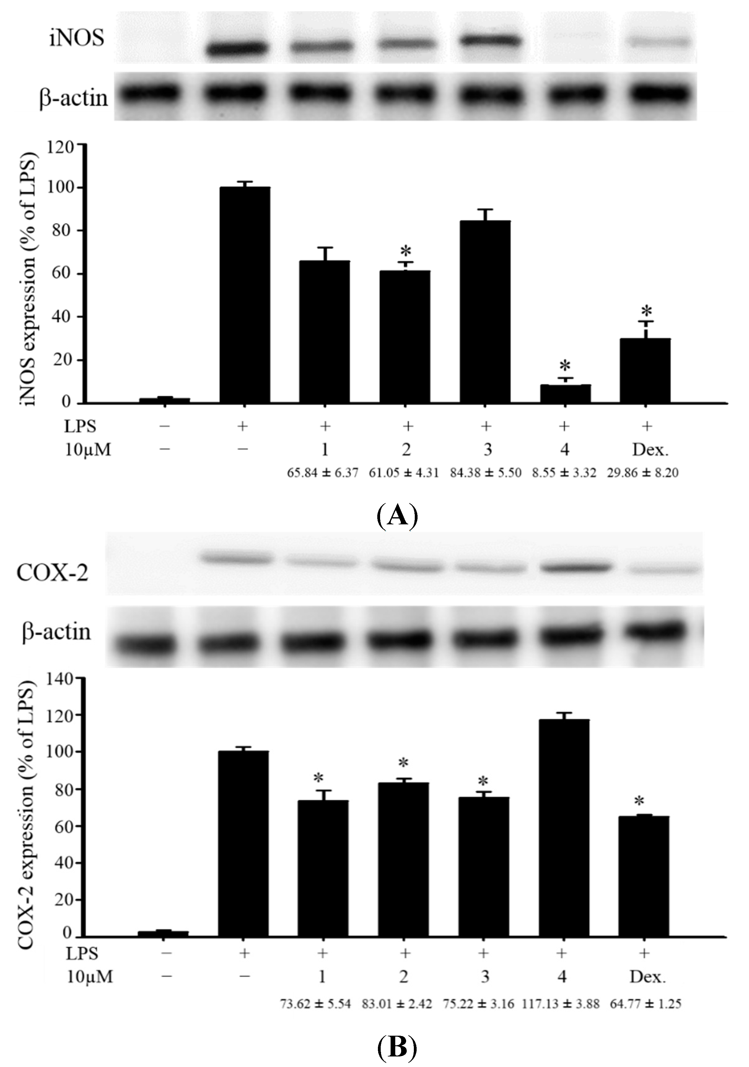 Ijms 16 19508 g004 1024