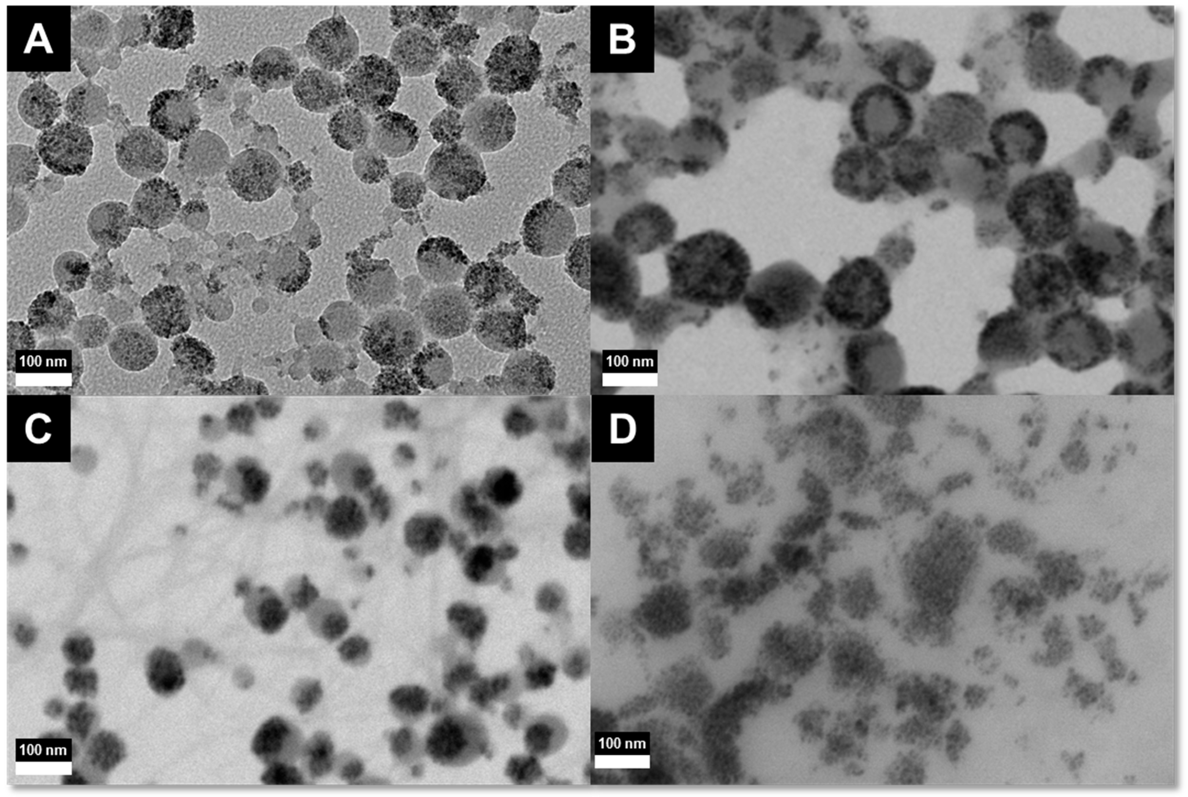 Ijms 16 19752 g002 1024