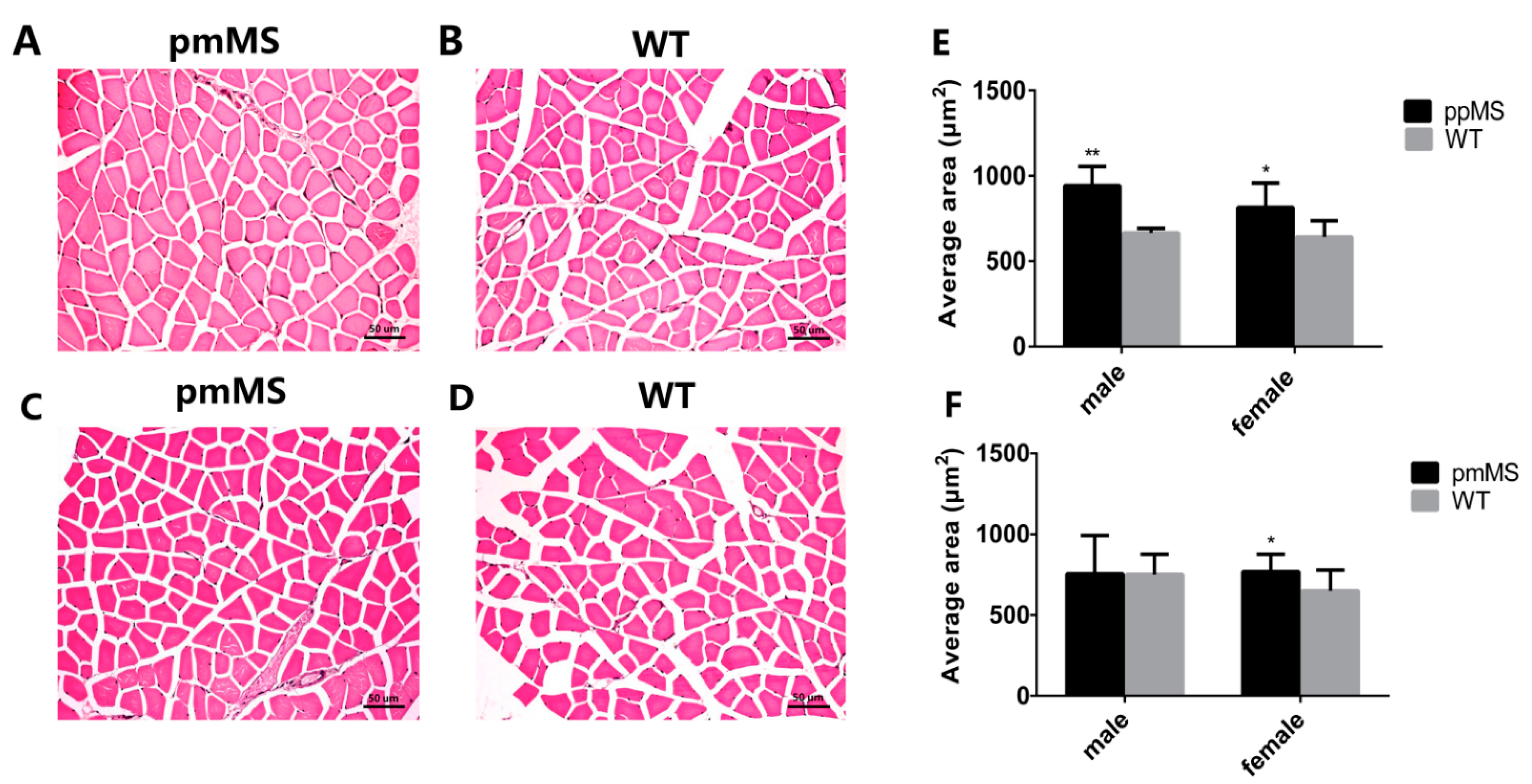 Ijms 16 20020 g003 1024