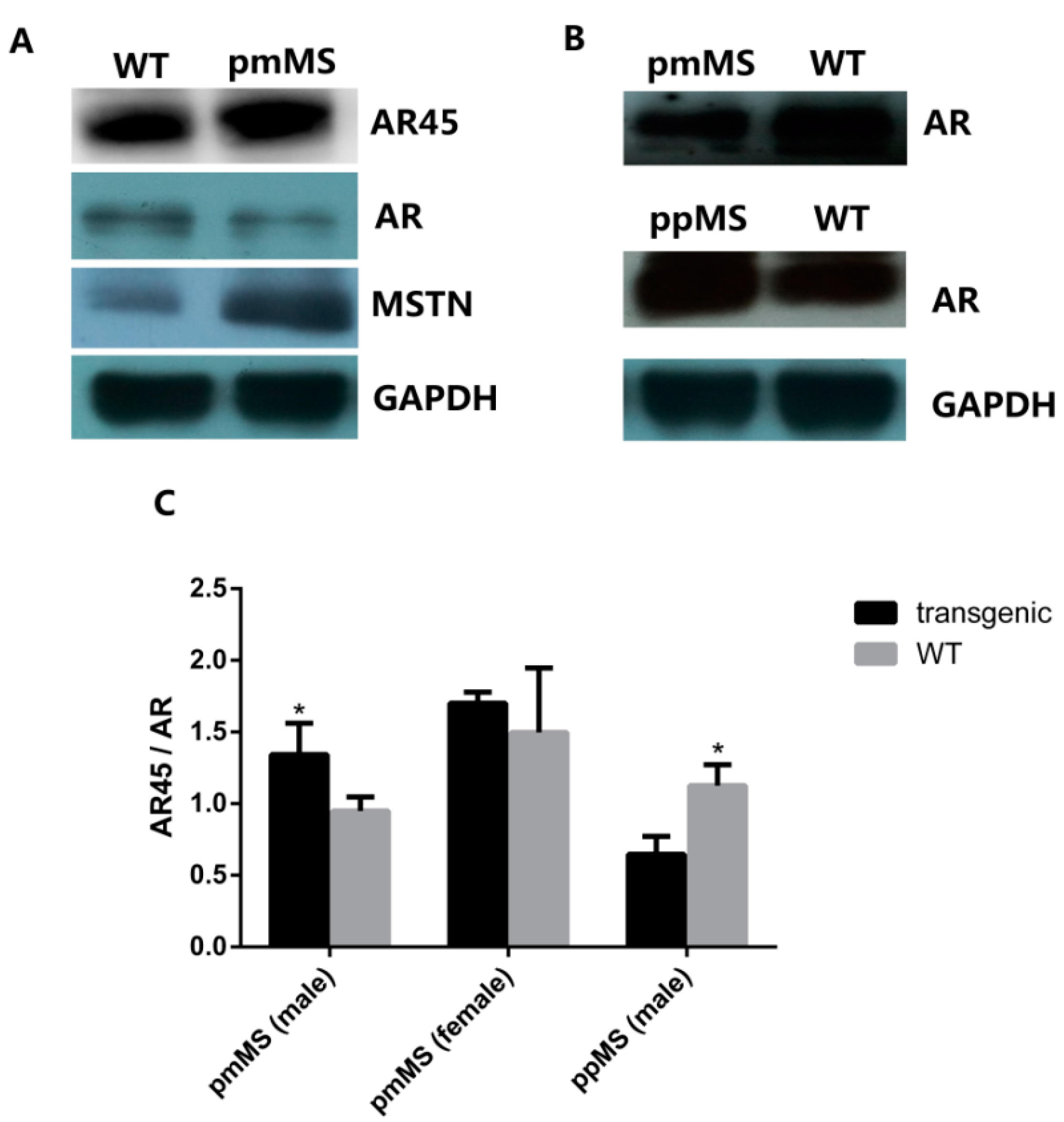 Ijms 16 20020 g005 1024
