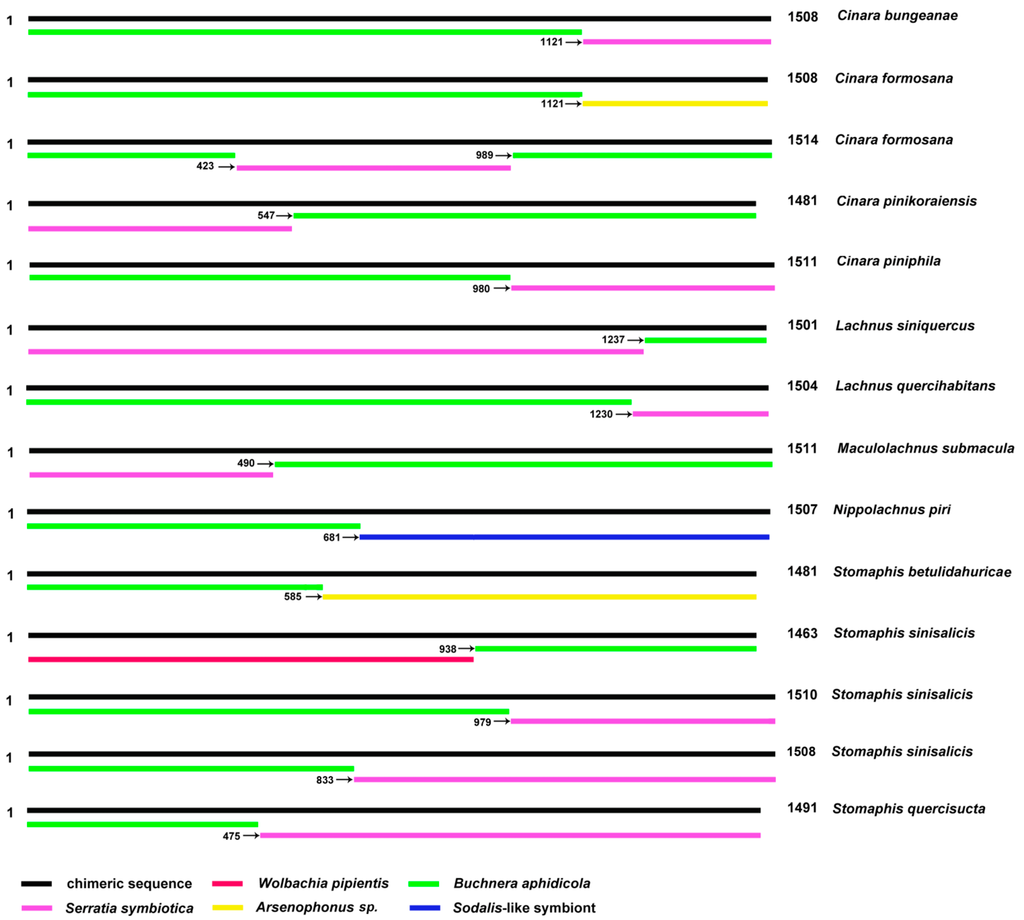Avoidance and Potential Remedy Solutions of Chimeras in Avoidance and Potential Remedy Solutions of Chimeras in