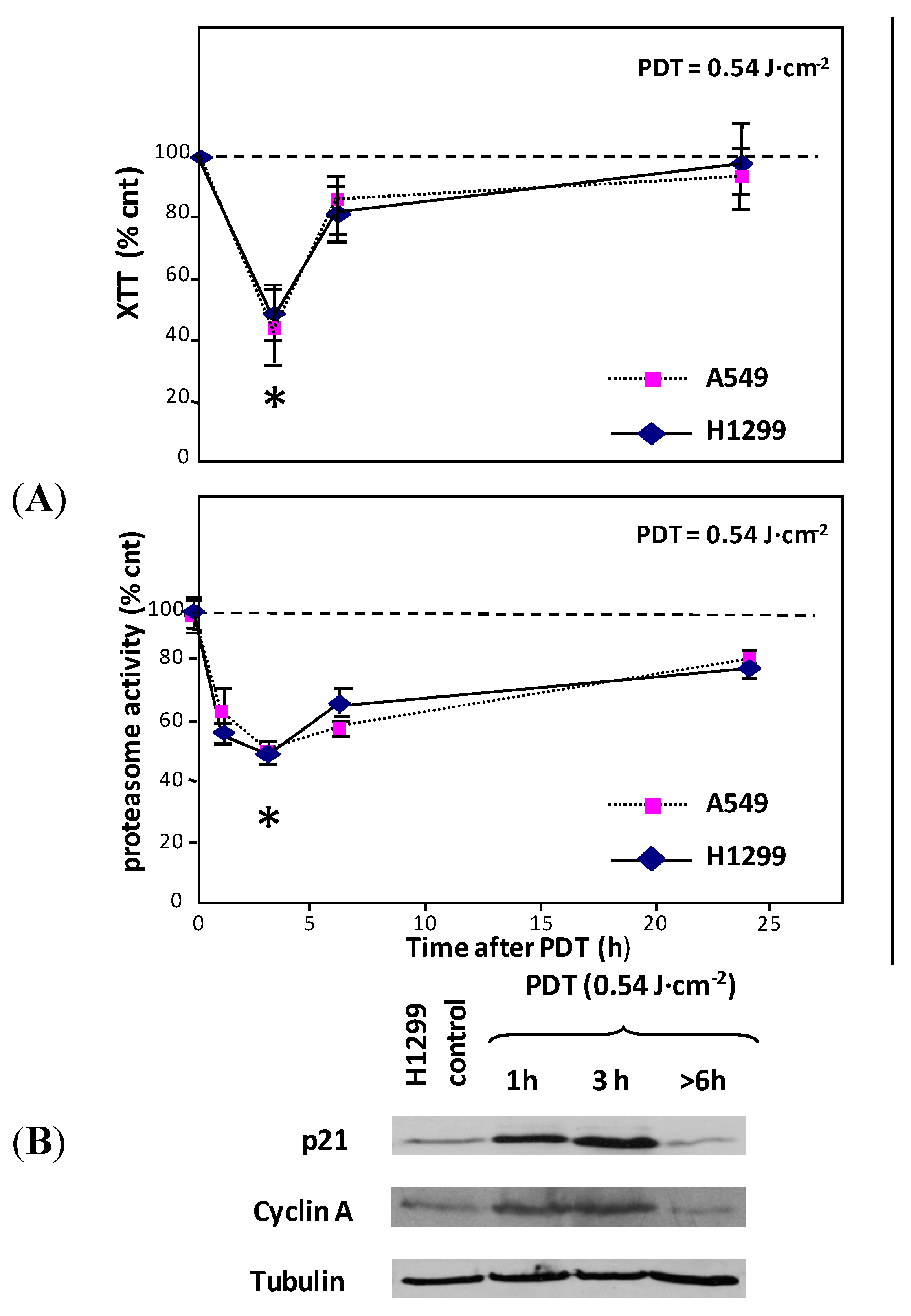 Ijms 16 20375 g002 1024