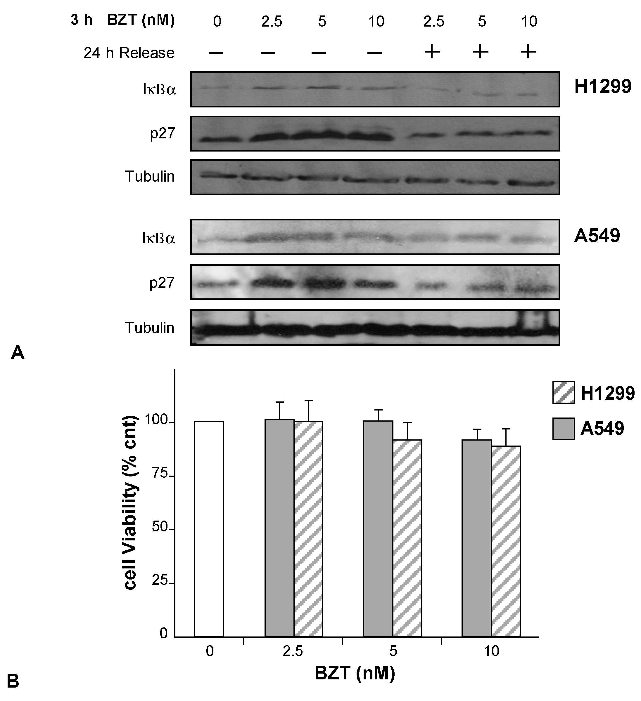Mitochondrial Malfunctioning, Proteasome Arrest and Apoptosis in Cancer ... Biology Diagrams
