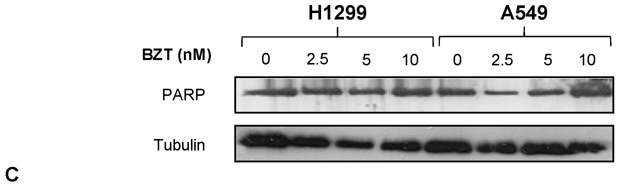 Ijms 16 20375 g004b 1024