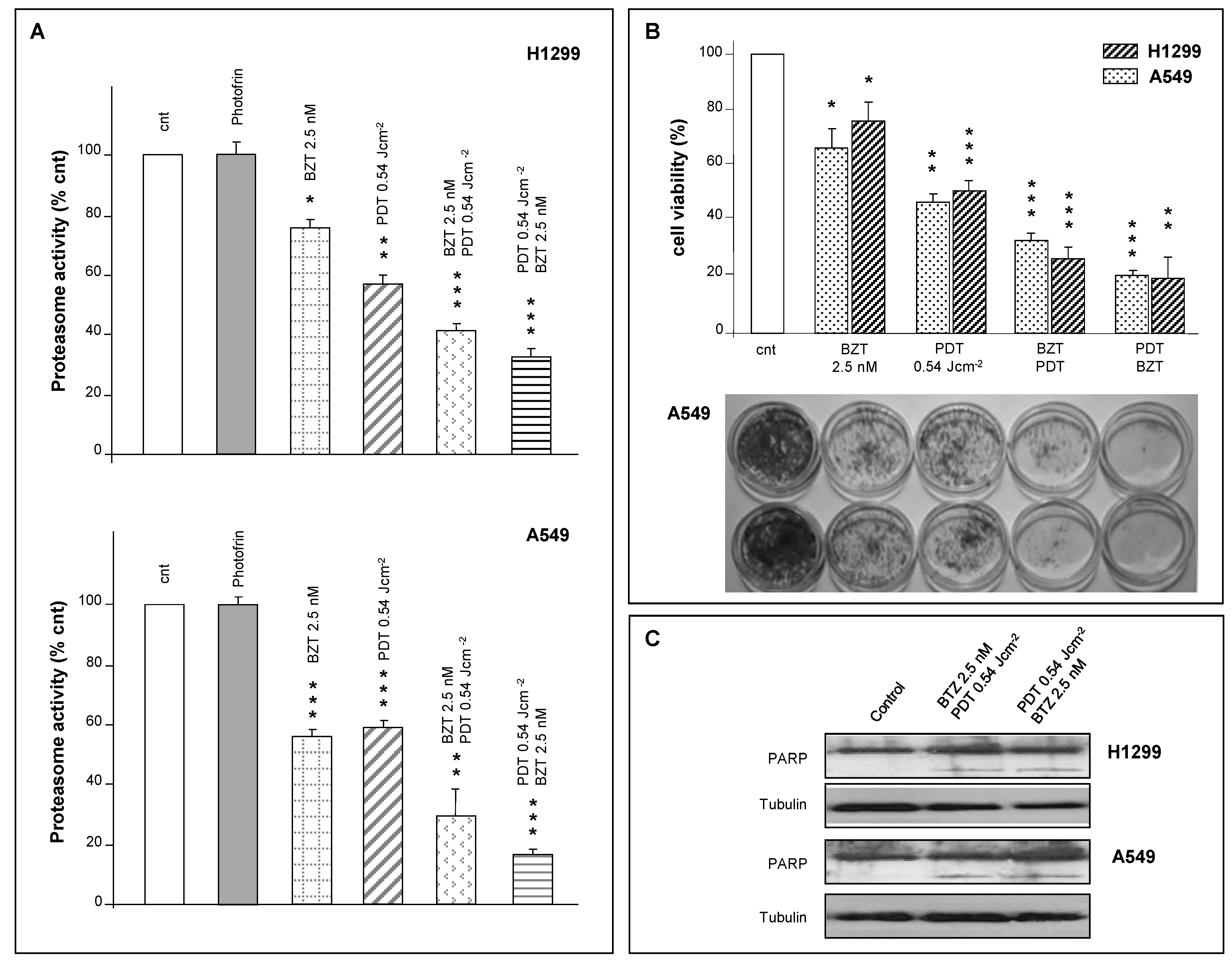Ijms 16 20375 g005 1024