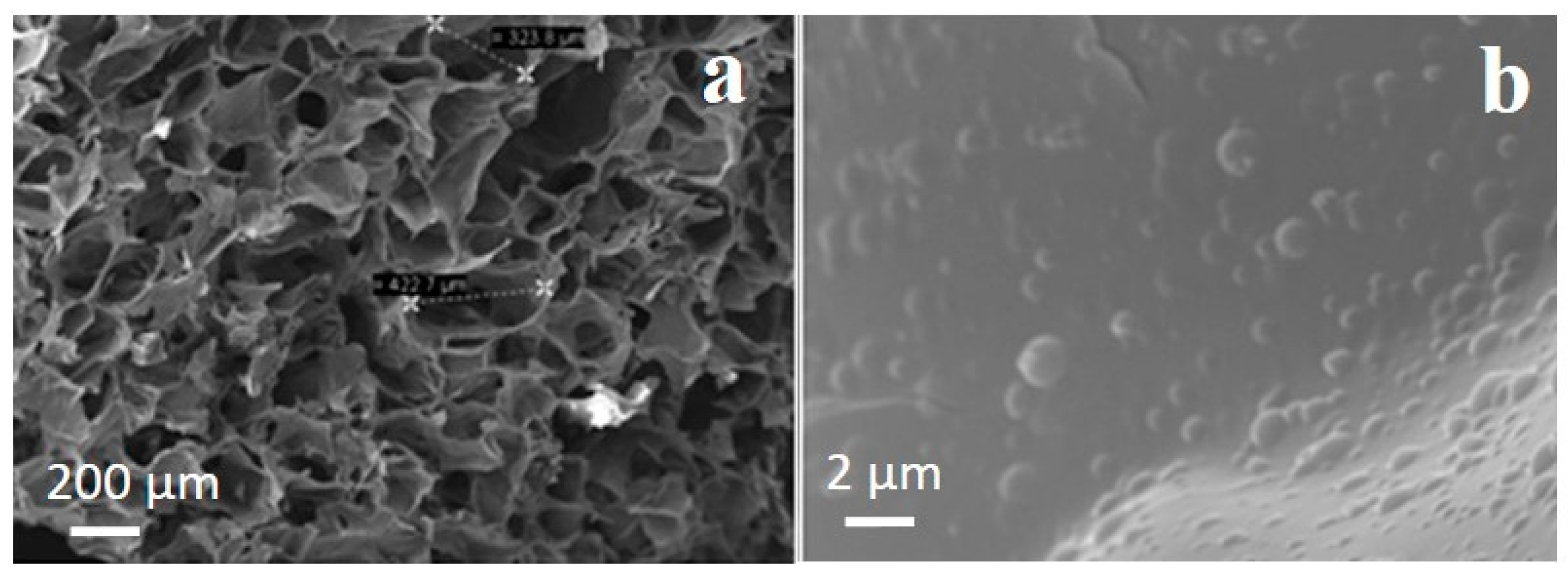 Ijms 16 20492 g008 1024