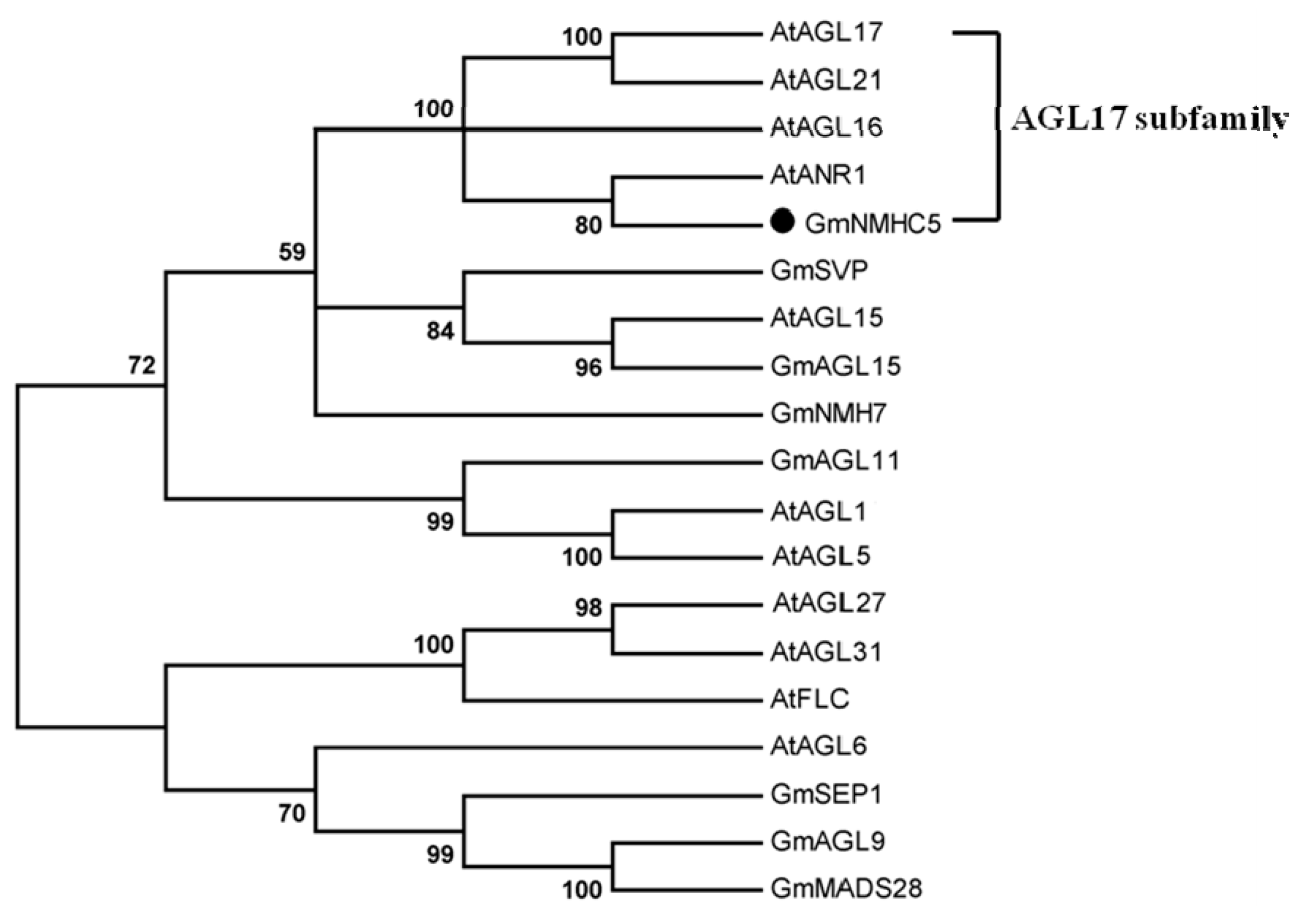 Ijms 16 20657 g002