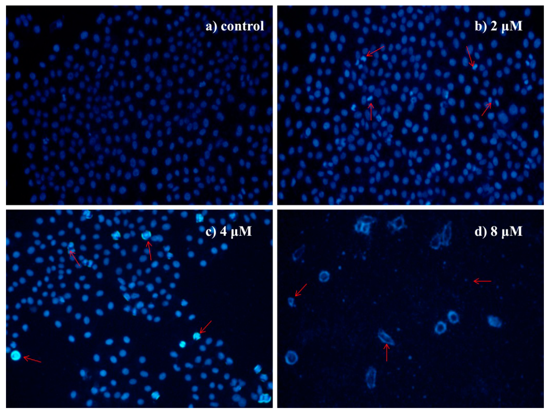 Ijms 16 21035 g003 1024