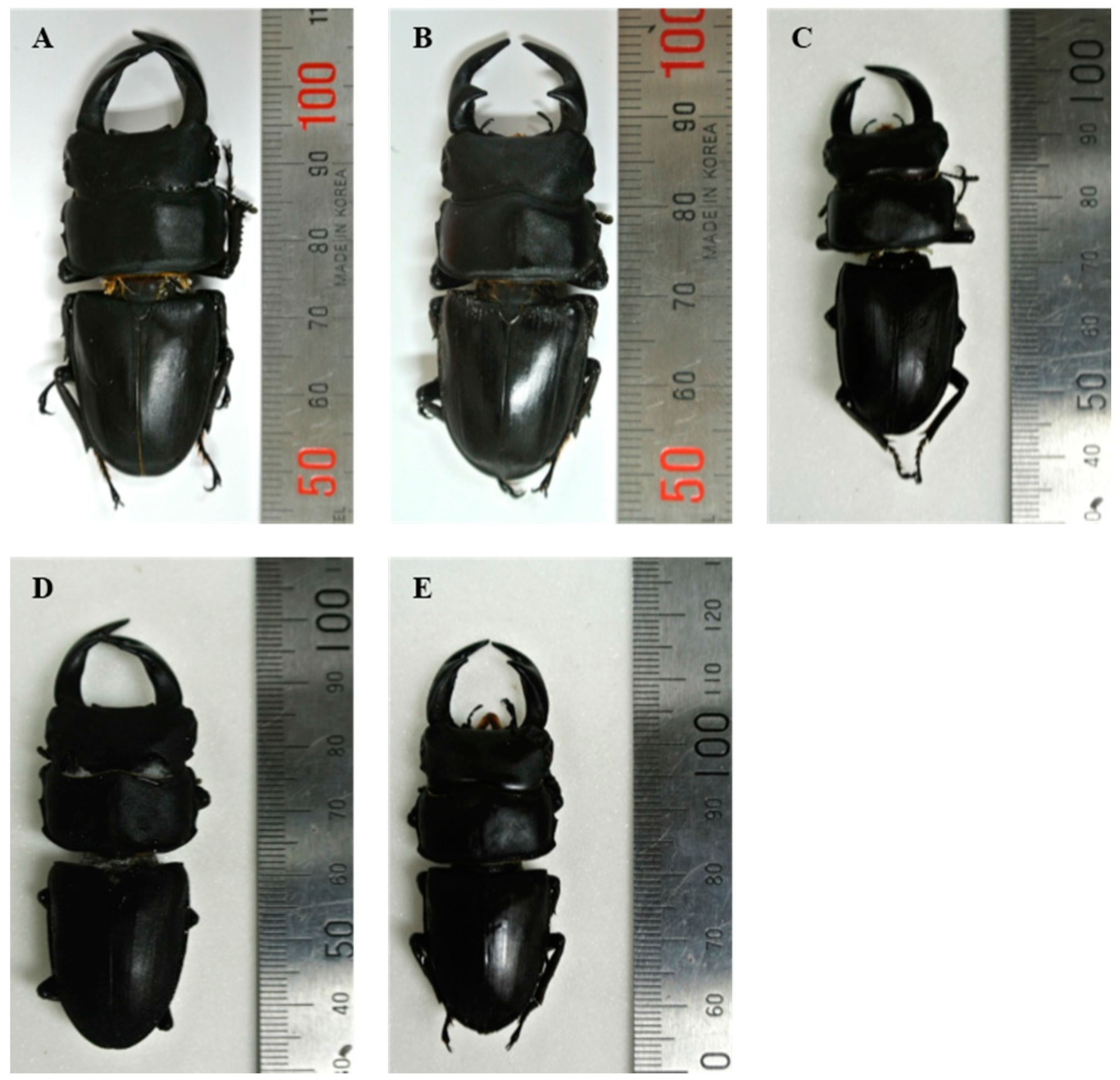 Ijms 16 21330 g002 1024