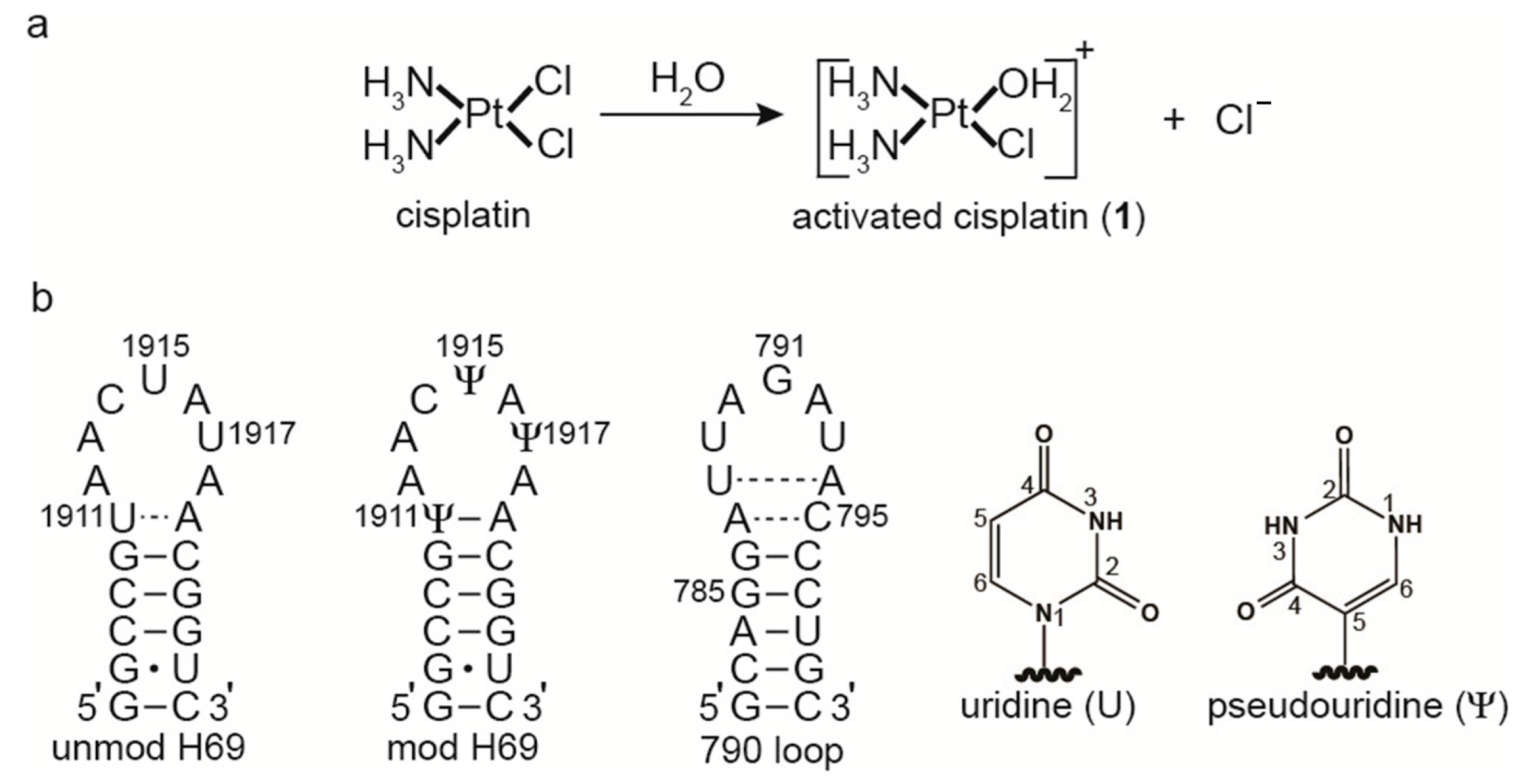 Ijms 16 21392 g001 1024