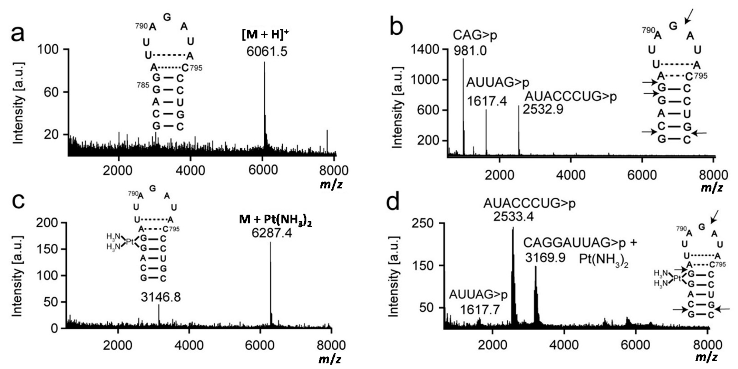 Ijms 16 21392 g004 1024