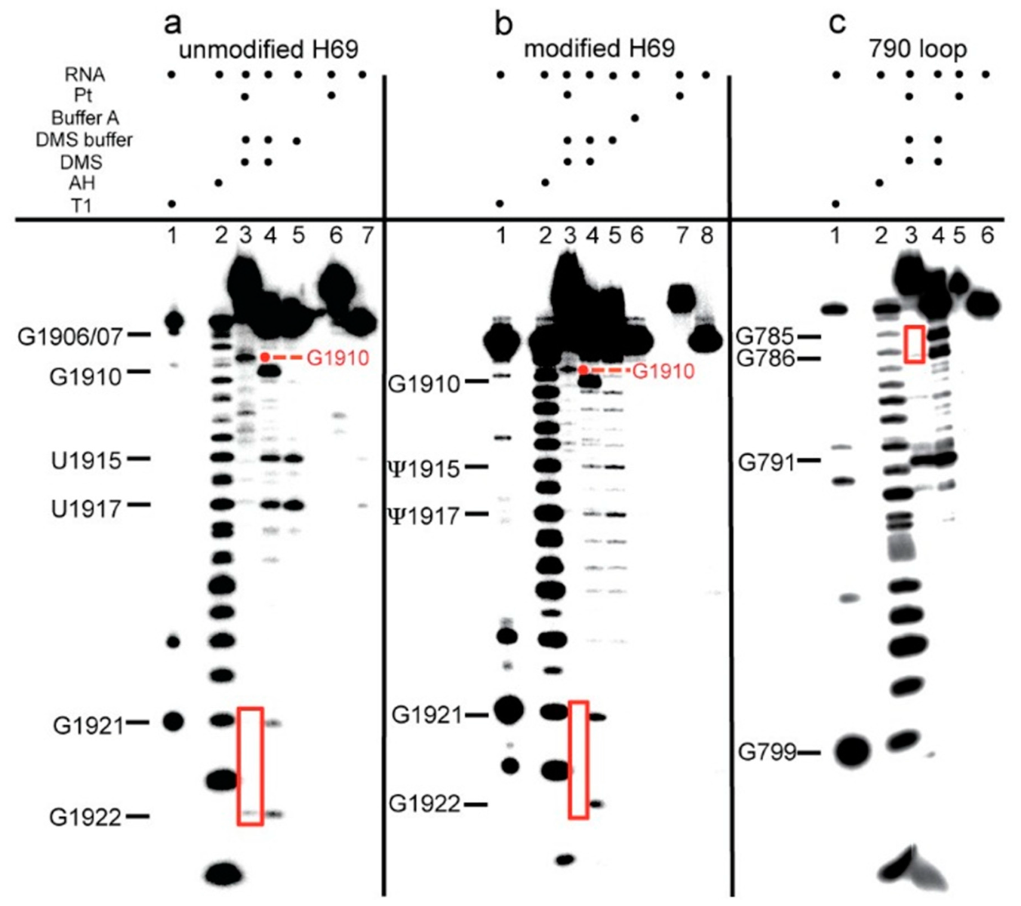 Ijms 16 21392 g005 1024