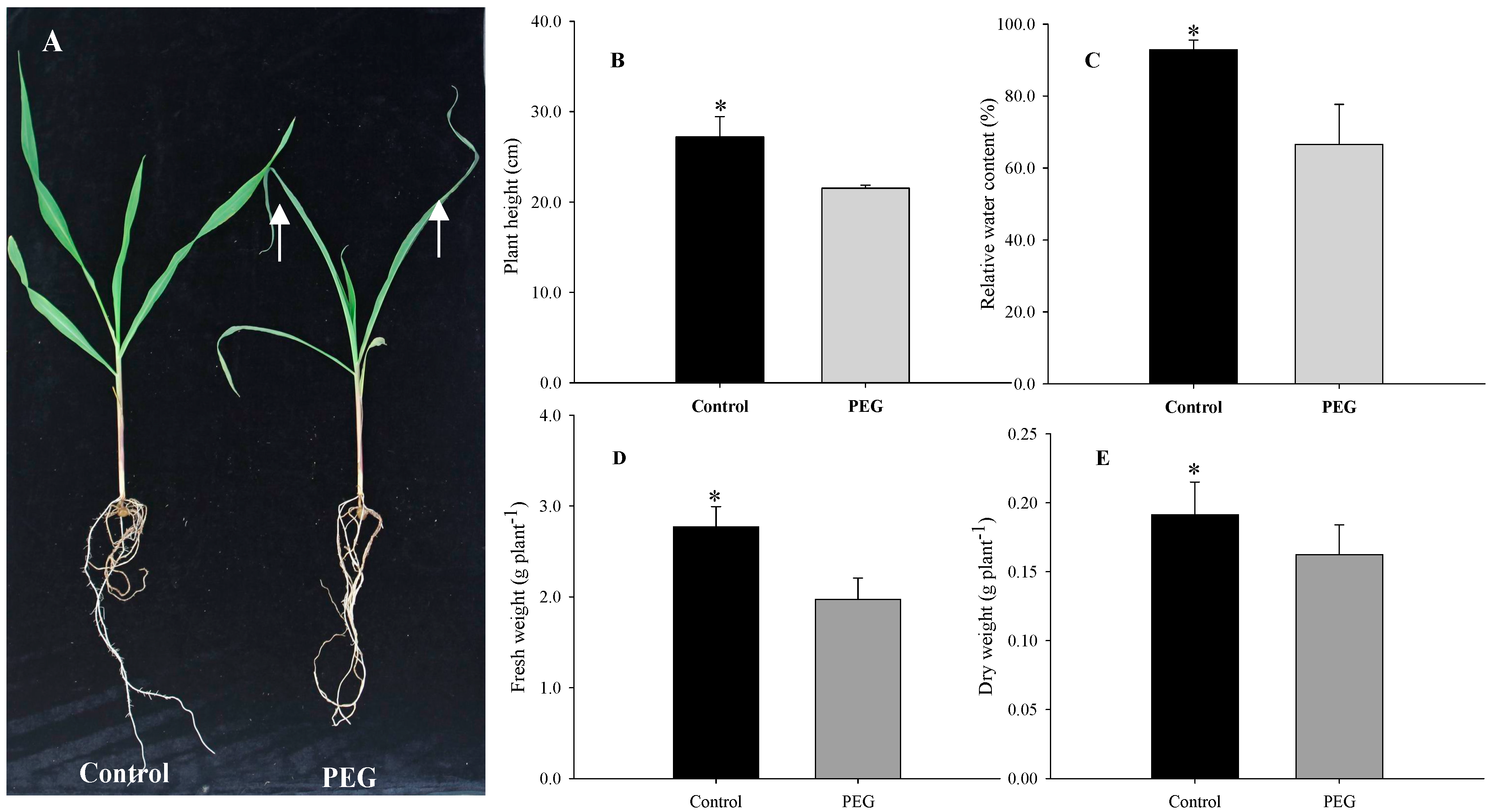 Ijms 16 21606 g001 1024