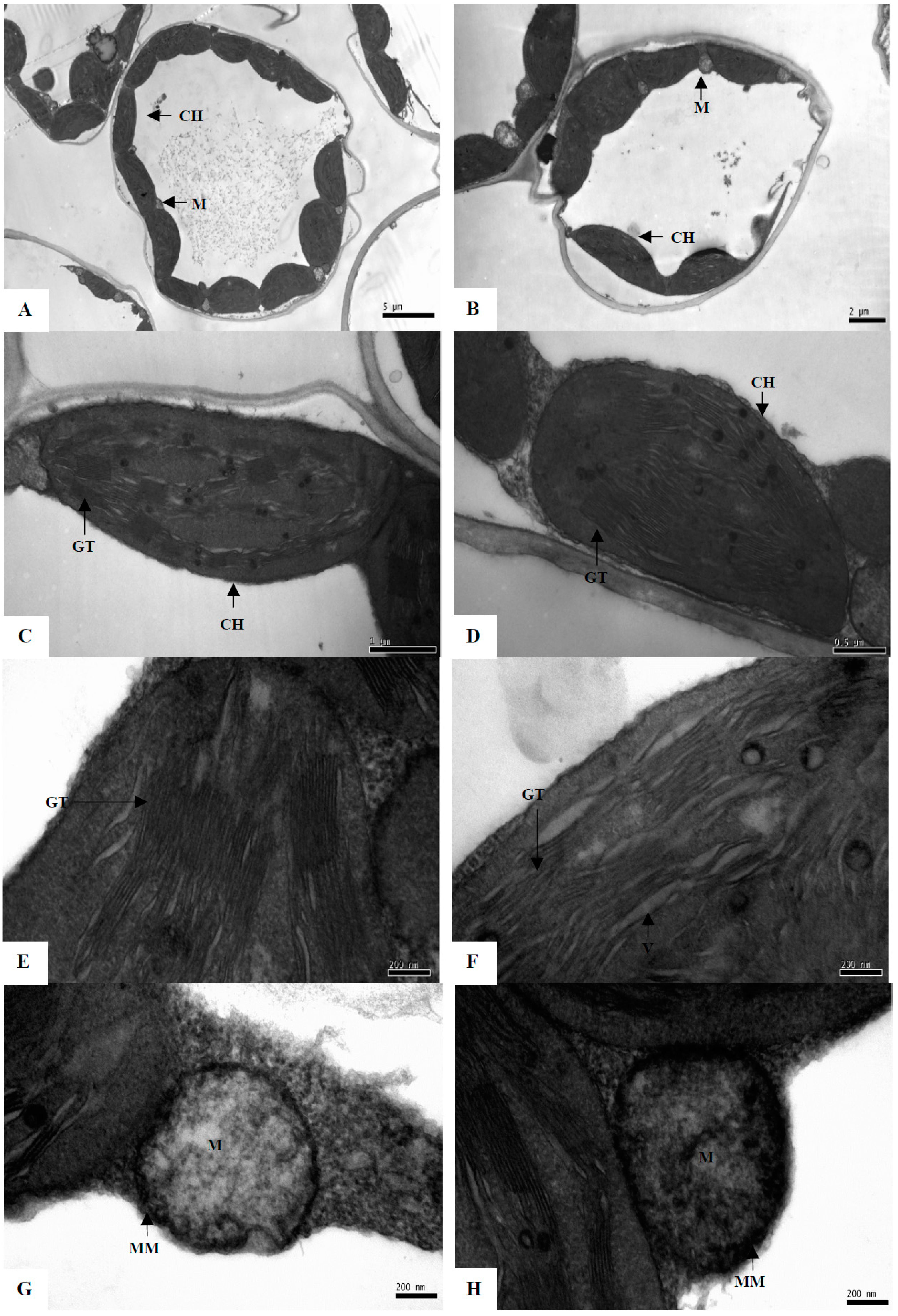 Ijms 16 21606 g003 1024